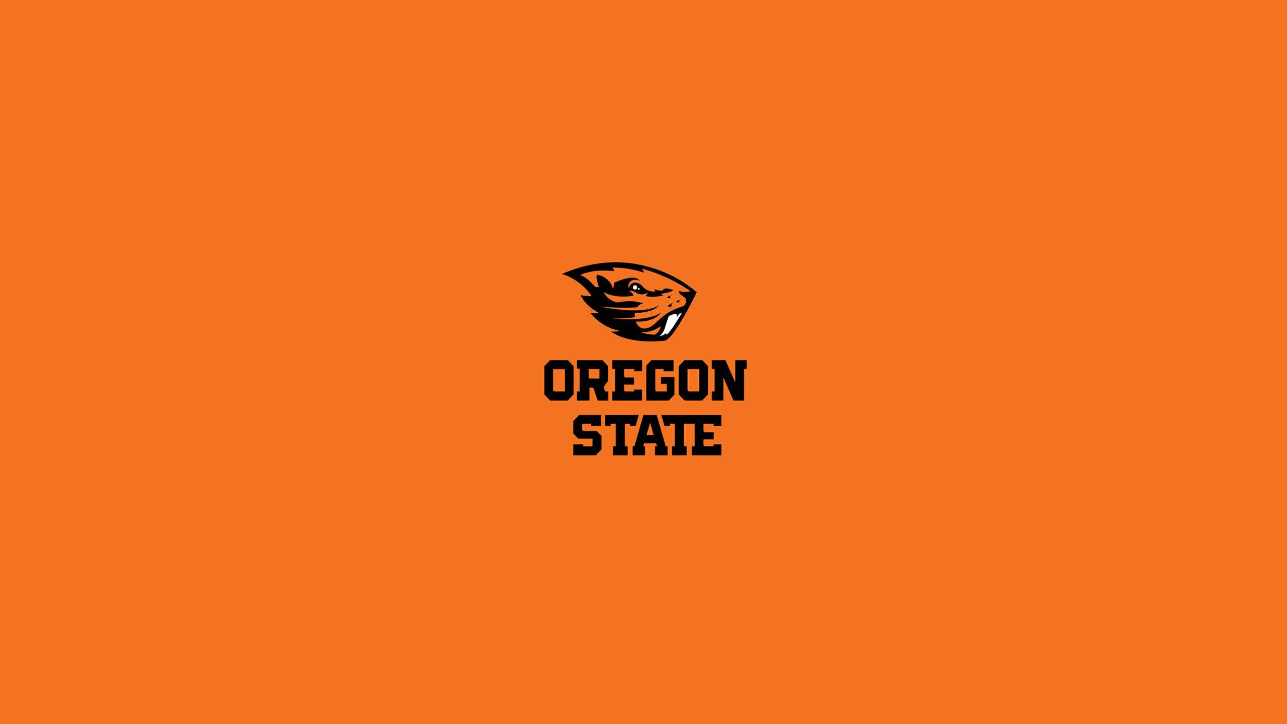 Oregon 桌布 壁紙 — 大膽的黑色俄勒岡州立大學海狸標誌居中於純橙色背景上。