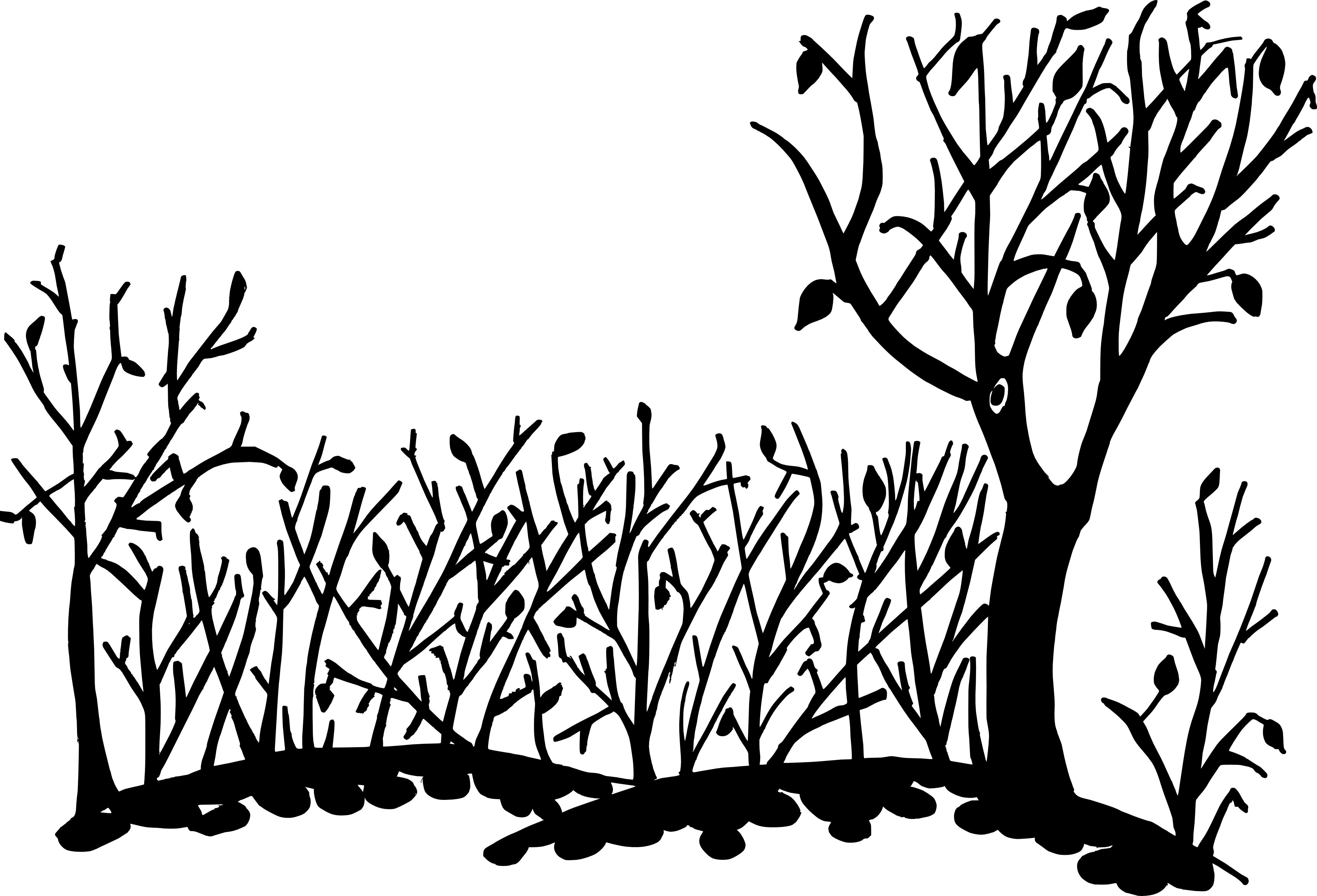 Silhouette 桌布 壁紙 — 大膽的黑色剪影，呈現冬季光禿的樹木和灌木，背景為純白色。