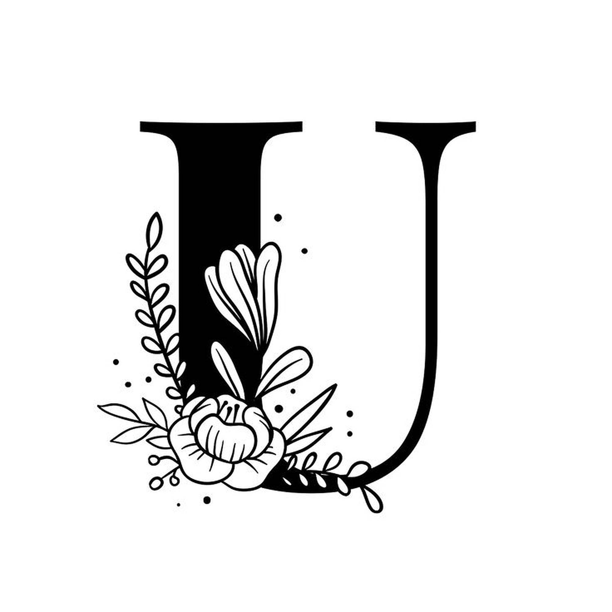 U 桌布 壁紙 — 大膽的黑色字母 U，在潔淨的白色背景上飾有精緻的花卉和葉子裝飾。