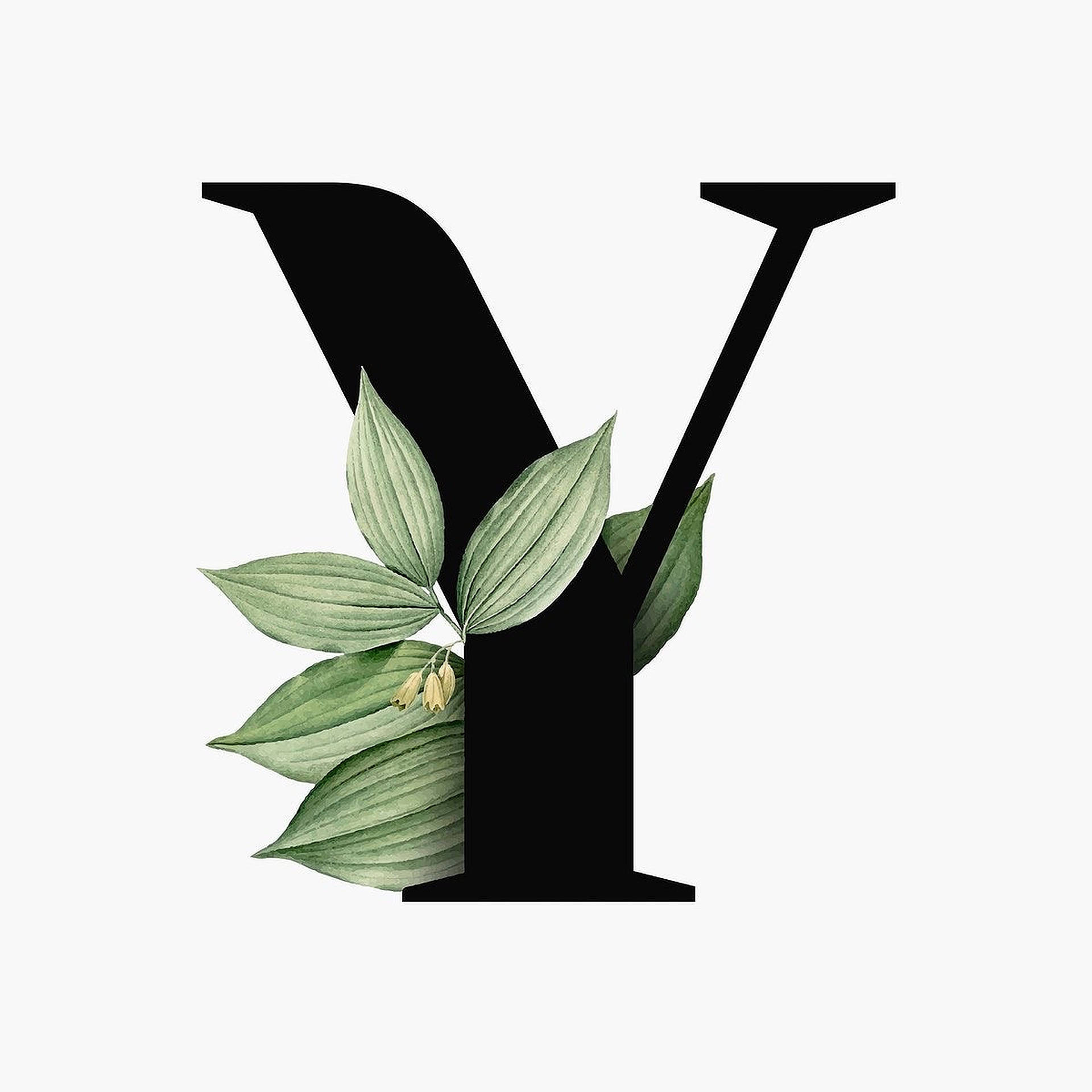 Y 桌布 壁紙 — 大膽的黑色字母Y，點綴著精緻的綠葉和細小的黃花，襯以潔白的背景。