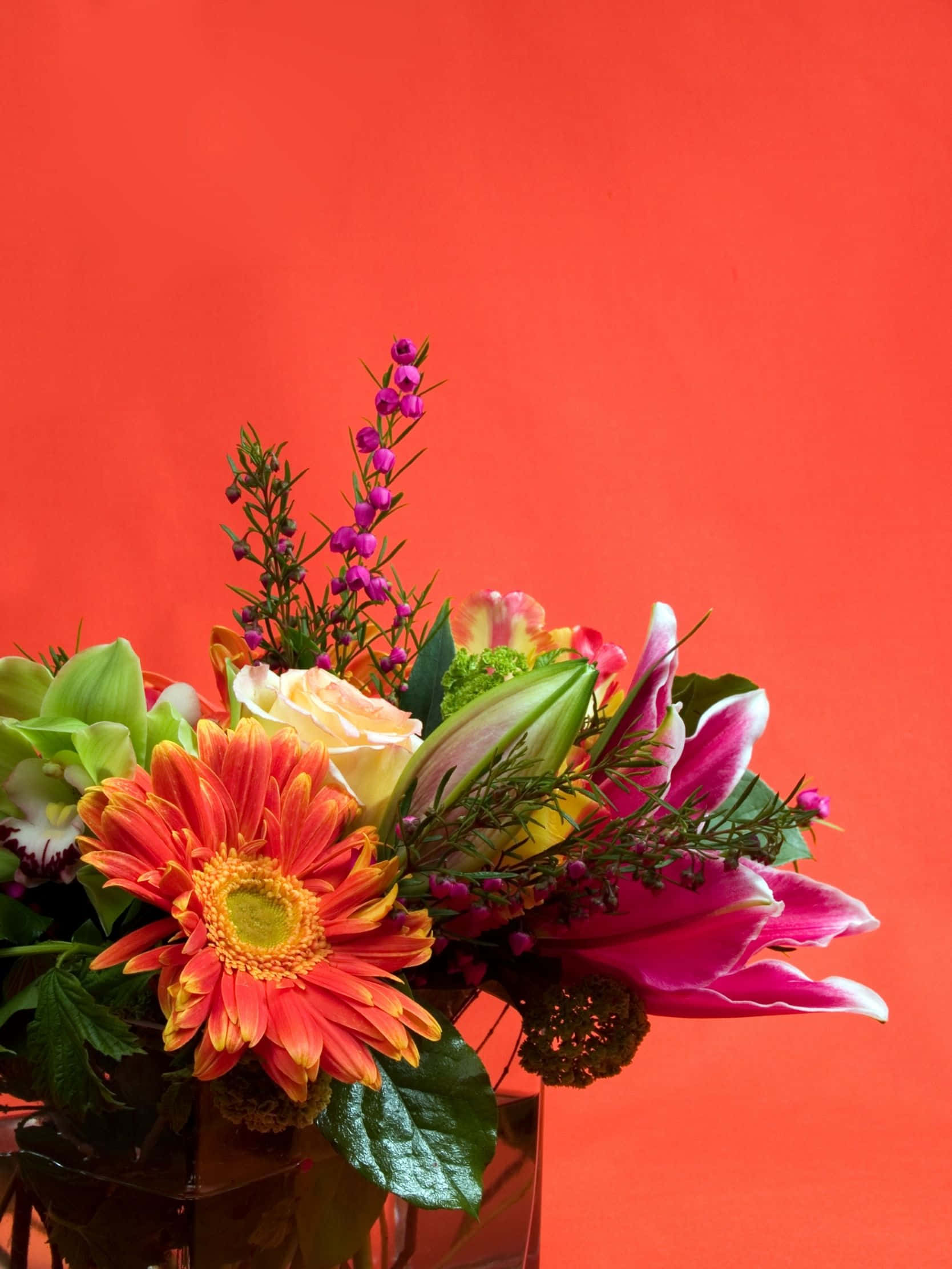 1668x2224 桌布 壁紙 — 大膽紅色背景前玻璃花瓶中的鮮豔花束，包括非洲菊雛菊、玫瑰和百合。