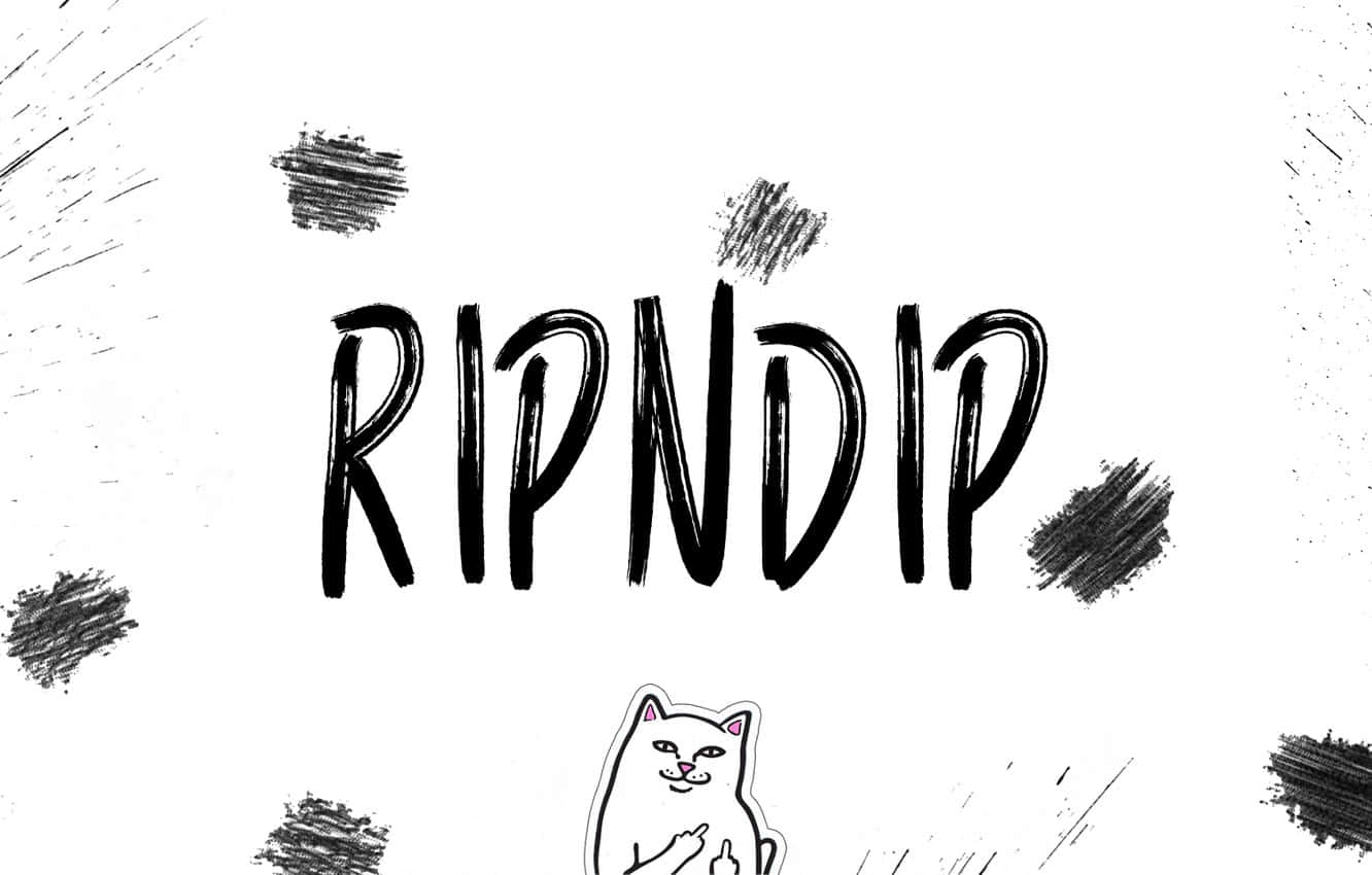 ripndip 桌布 壁紙 — 大膽黑色刷筆文字 RIPNDIP，搭配一隻豎起中指的卡通貓，背景為白色，散落著木炭污跡。
