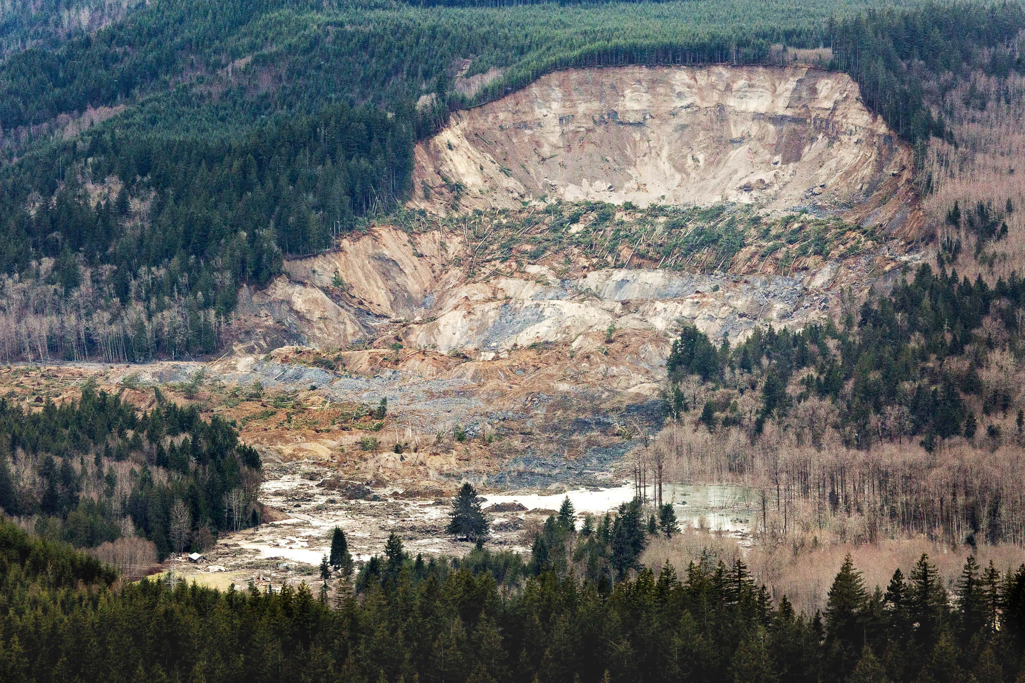 Natural Disaster 桌布 壁紙 — 大規模山崩撕裂了森林覆蓋的山脈，露出下方的原始泥土和破碎的樹木。