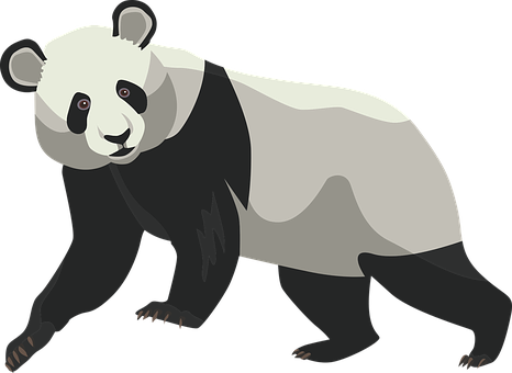 大貓熊插畫 壁紙