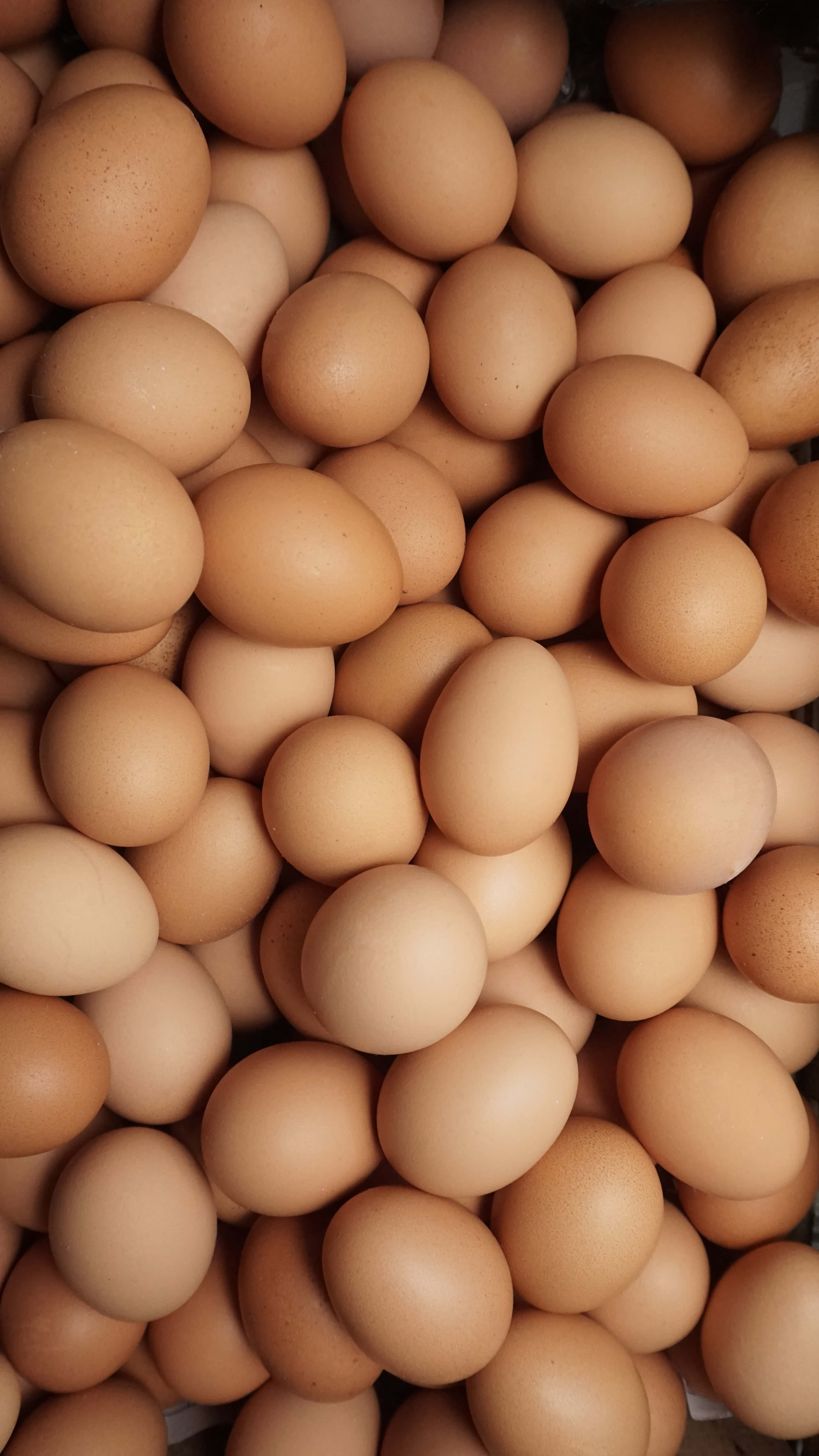 Egg 桌布 壁紙 — 大量棕色雞蛋的密集特寫，蛋殼光滑帶有細微斑點，在溫暖的自然光下堆疊在一起。