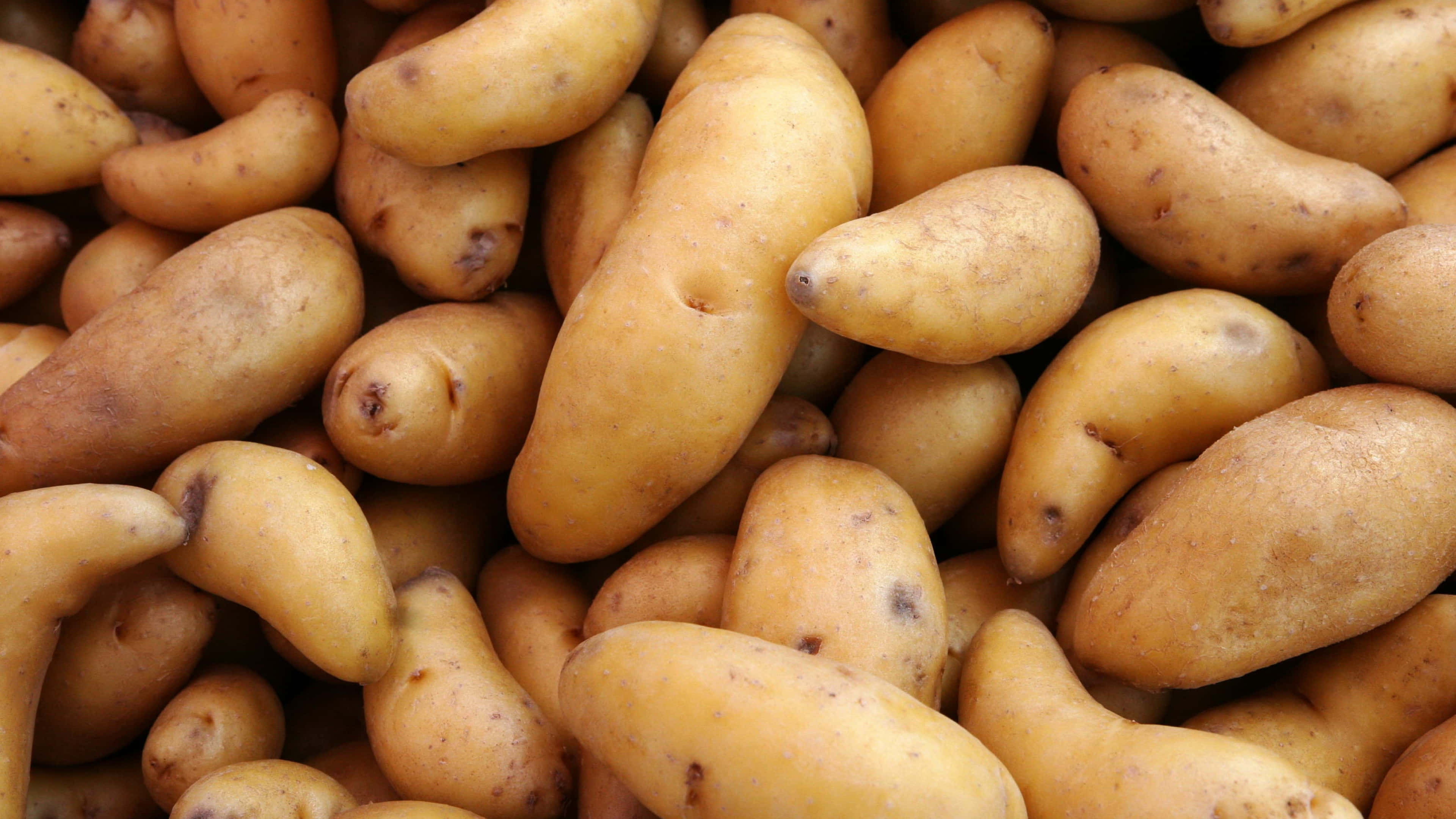 Potato 桌布 壁紙 — 大量淡黃色馬鈴薯帶有泥土般的棕色斑點堆疊在一起的近距離特寫。