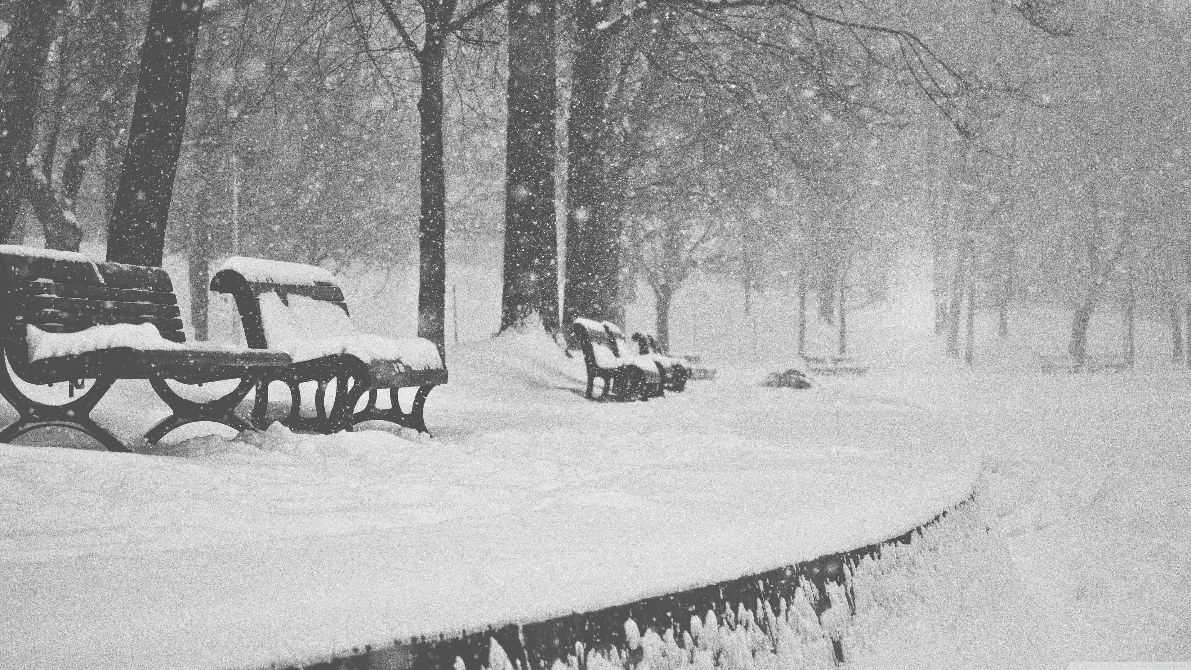 Snow Falling 桌布 壁紙 — 大雪覆蓋公園長椅和樹木，一場猛烈的冬季暴風雪中，雪花飄落，灰色調柔和。
