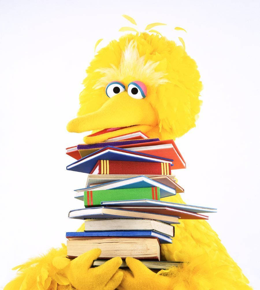Big Bird 桌布 壁紙 — 大鳥在純白色背景前拿著一疊高高的彩色書。