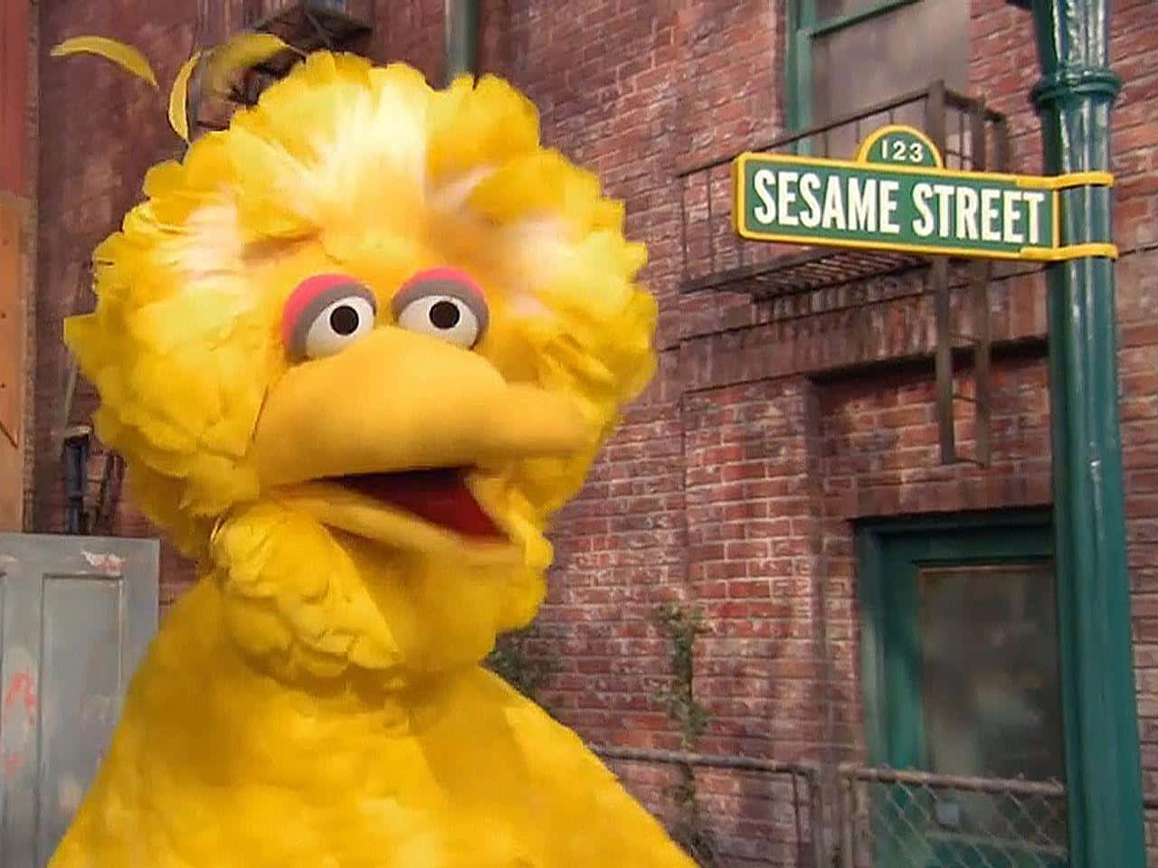 Big Bird 桌布 壁紙 — 大鳥愉快地站在磚砌建築前，上面有芝麻街標誌。