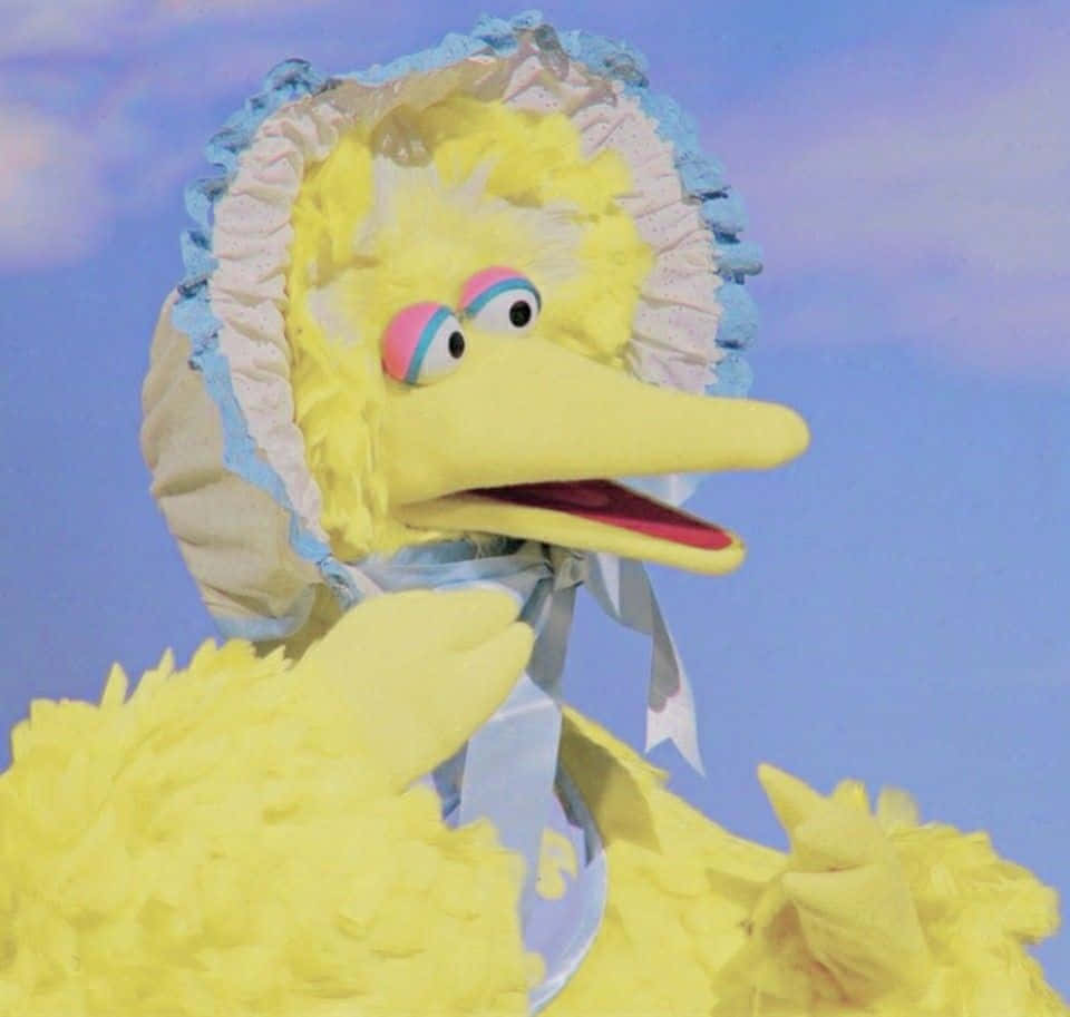Big Bird 桌布 壁紙 — 大鳥戴著一條有褶邊的藍白色帽子，背景是柔和的藍天和薄雲。