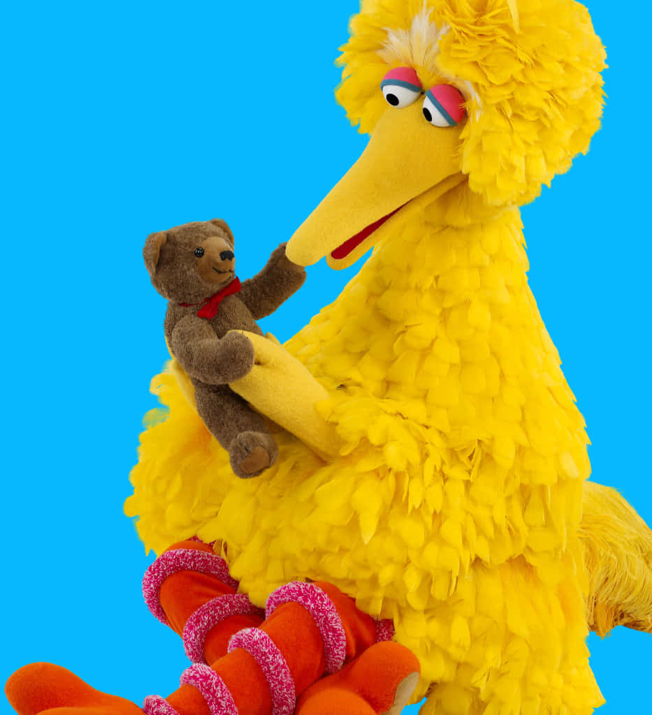 Big Bird 桌布 壁紙 — 大鳥抱著一隻小棕色泰迪熊，背景是明亮的藍色，色彩鮮豔，充滿俏皮魅力。