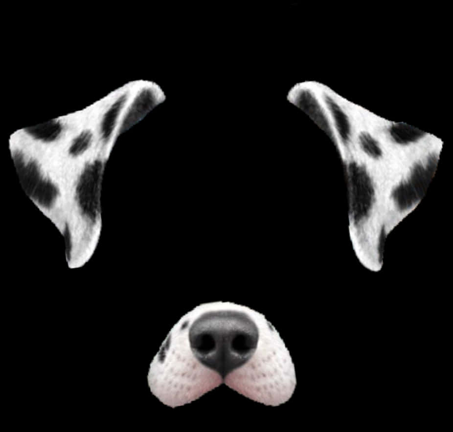 Snapchat 桌布 壁紙 — 大麥町犬斑點耳朵和鼻子的特寫，背景為純黑色。