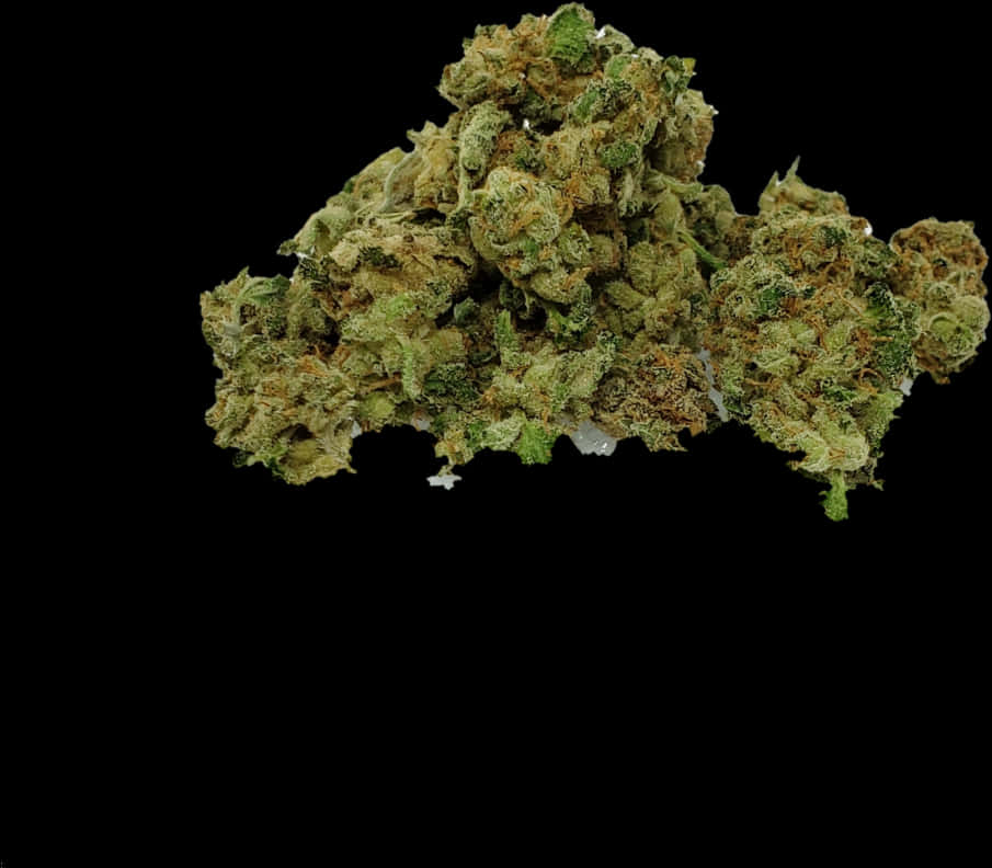 大麻花苞黑色背景 壁紙