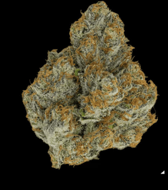 大麻花蕾特寫 壁紙