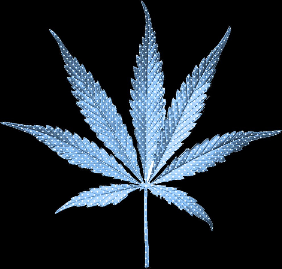 大麻葉上的閃亮露珠 壁紙