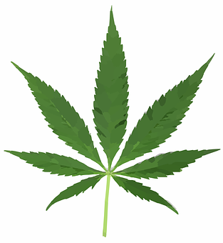 大麻葉圖案 壁紙