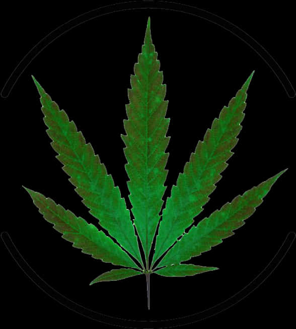 大麻葉黑色背景 壁紙