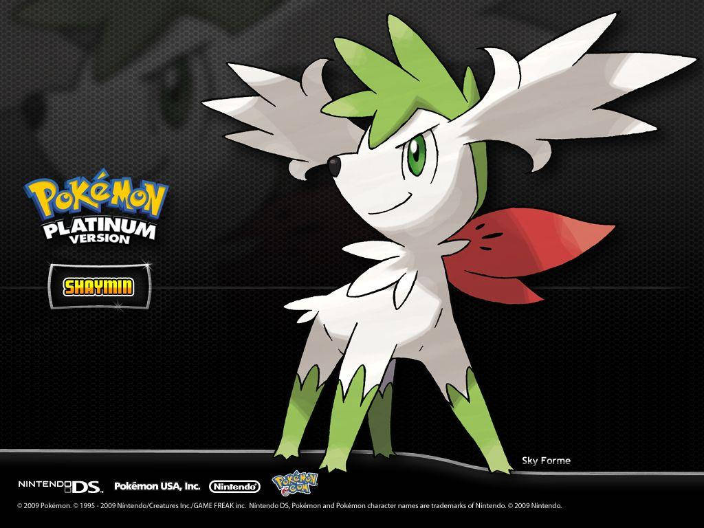 Shaymin 桌布 壁紙 — 天空形態的潔咪在深色紋理背景前自豪地站立，擁有發光的綠色眼睛和紅色圍巾。