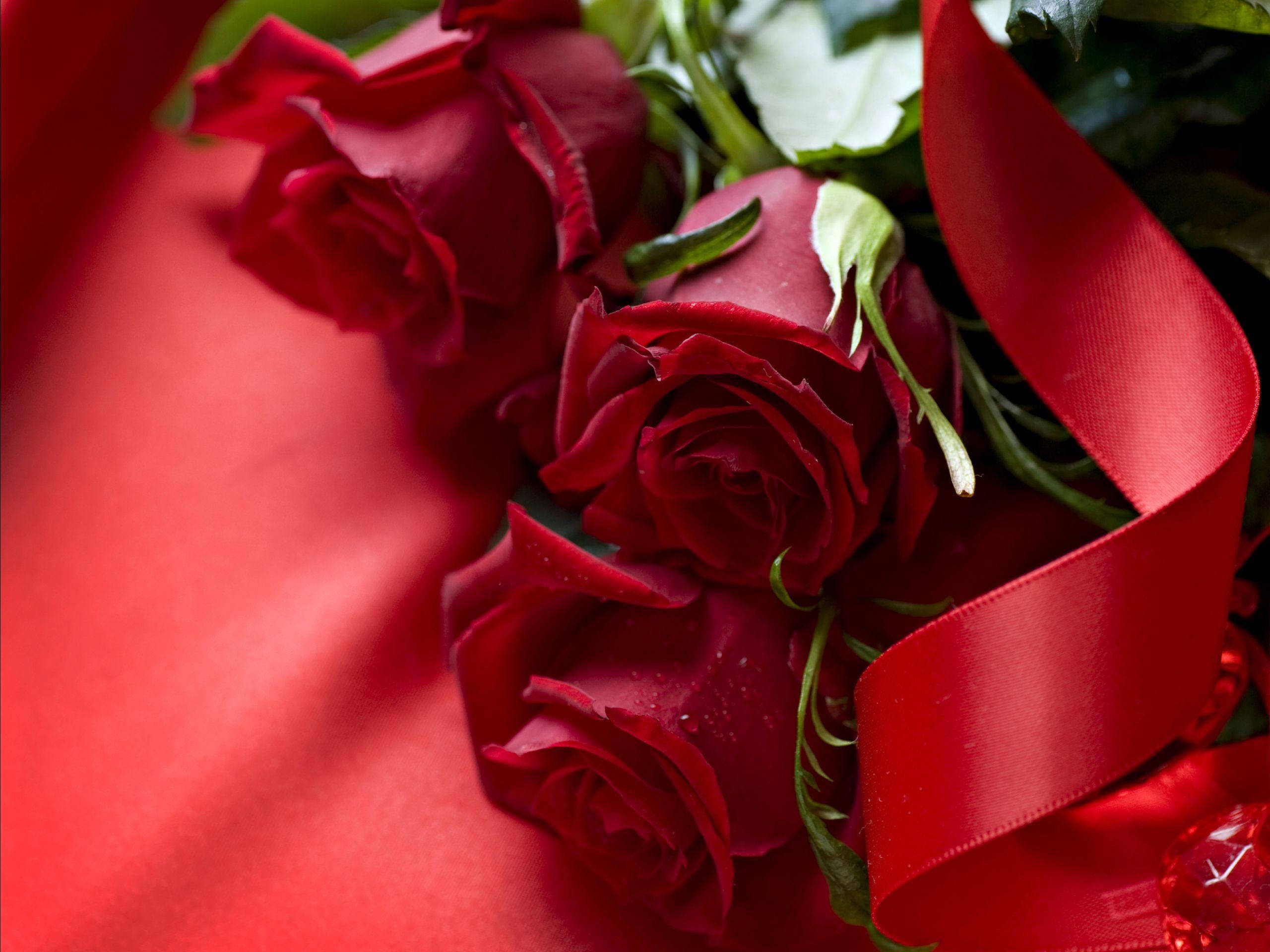 beautiful rose HD 桌布 壁紙 — 天鵝絨般的紅玫瑰近距離特寫，用相配的絲帶綁著，放在濃郁的紅色布料上。