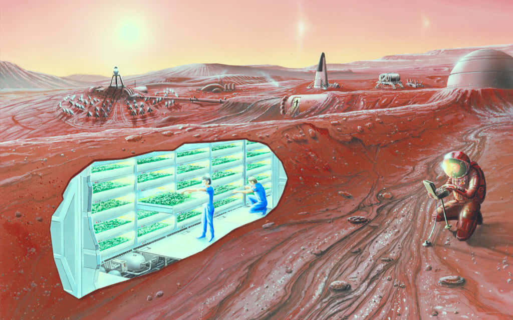 Space Colonization 桌布 壁紙 — 太空人在火星棲息地內照料茂盛的綠色農作物，而另一名太空人在發光的天空下探索紅色星球的表面。