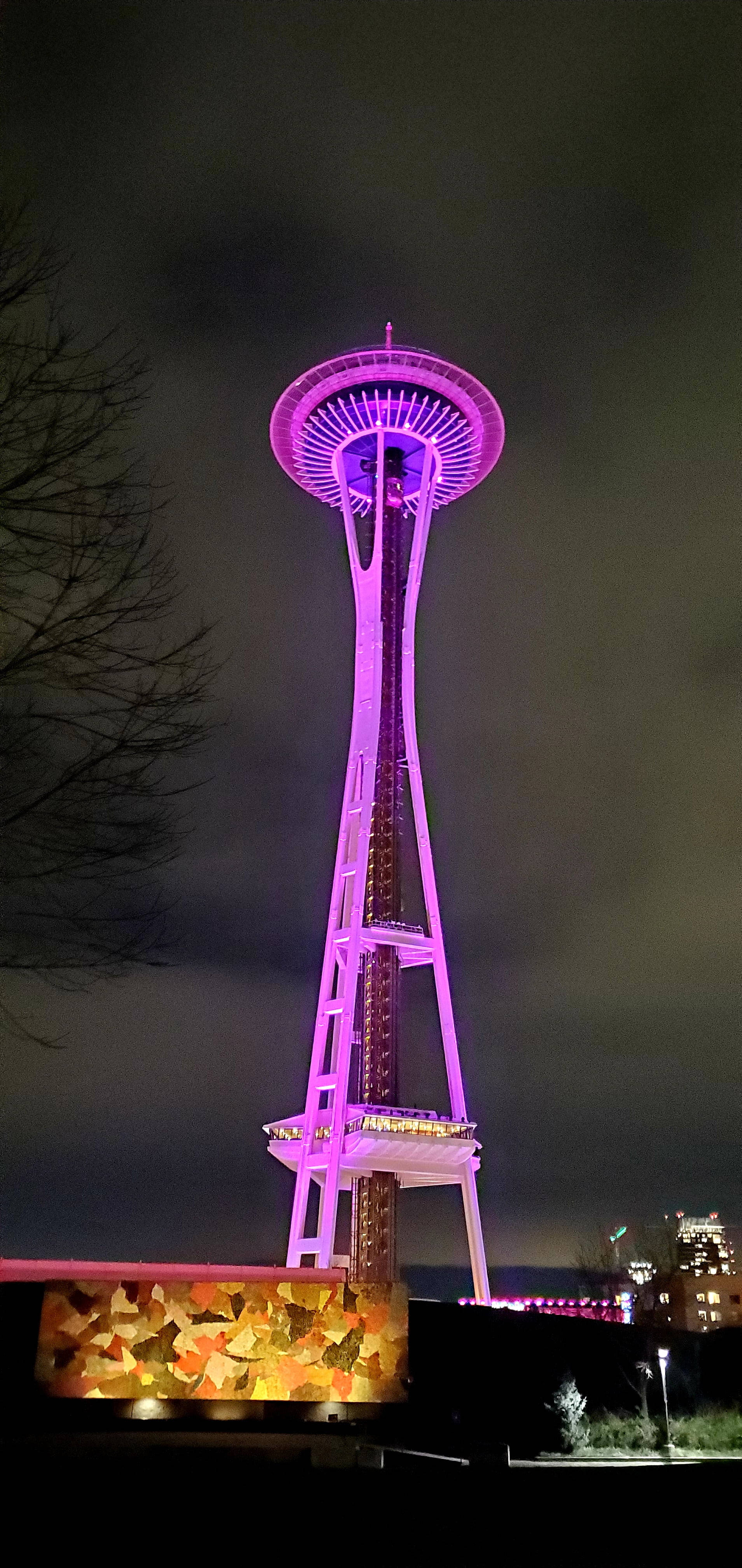 Space Needle 桌布 壁紙 — 太空針塔在漆黑的夜空中散發出鮮豔的紫色光芒，光禿禿的樹枝框住了這個西雅圖的標誌性地標。