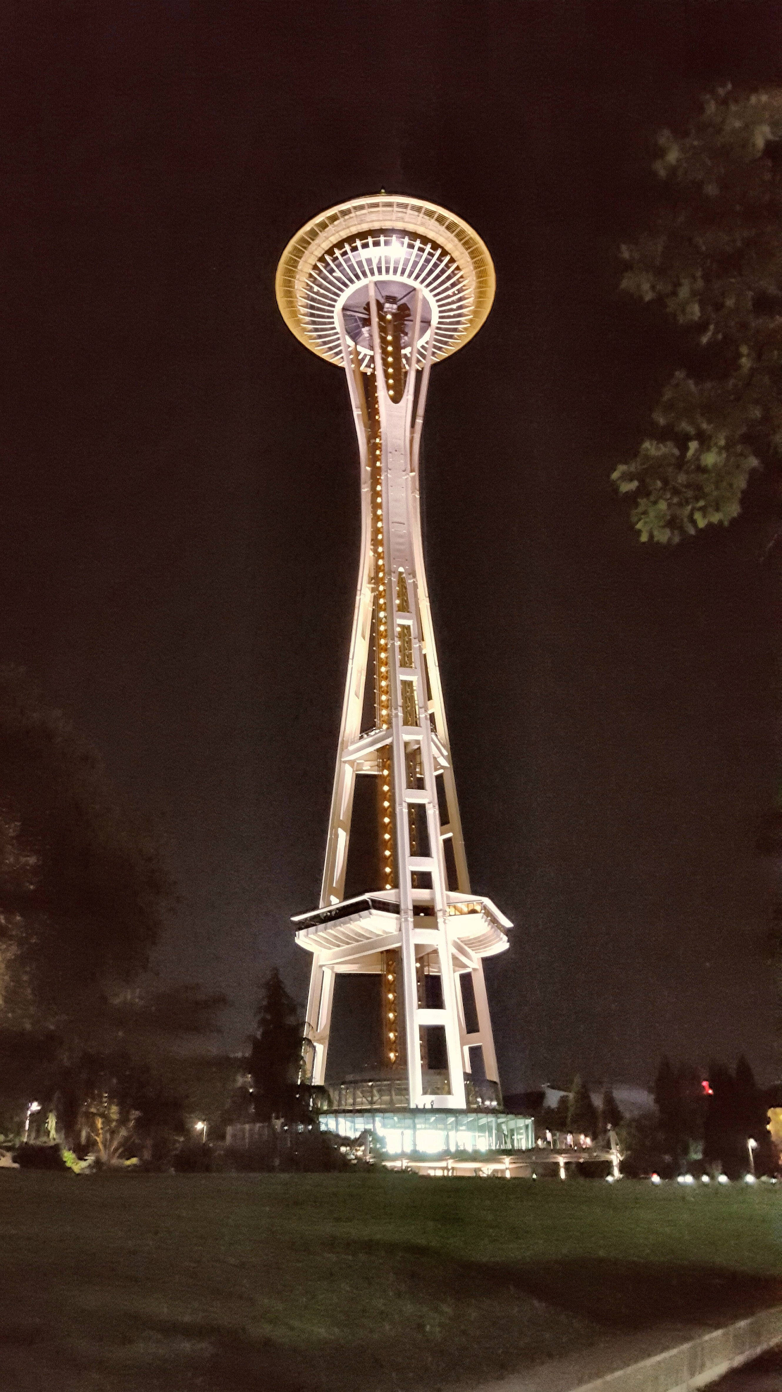 Space Needle 桌布 壁紙 — 太空針塔在漆黑的夜空中閃耀，樹木環繞著這個西雅圖的標誌性地標。