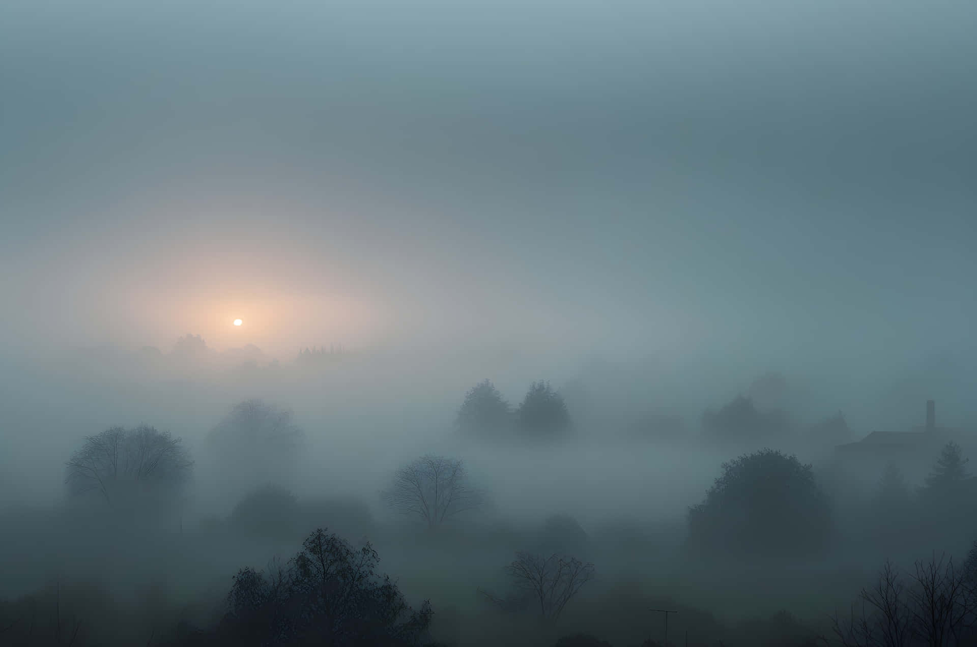 sunrise moment in the earth 壁紙 — 太陽穿過濃霧升起，籠罩著寧靜的風景，有剪影般的樹木和遠處的房子。