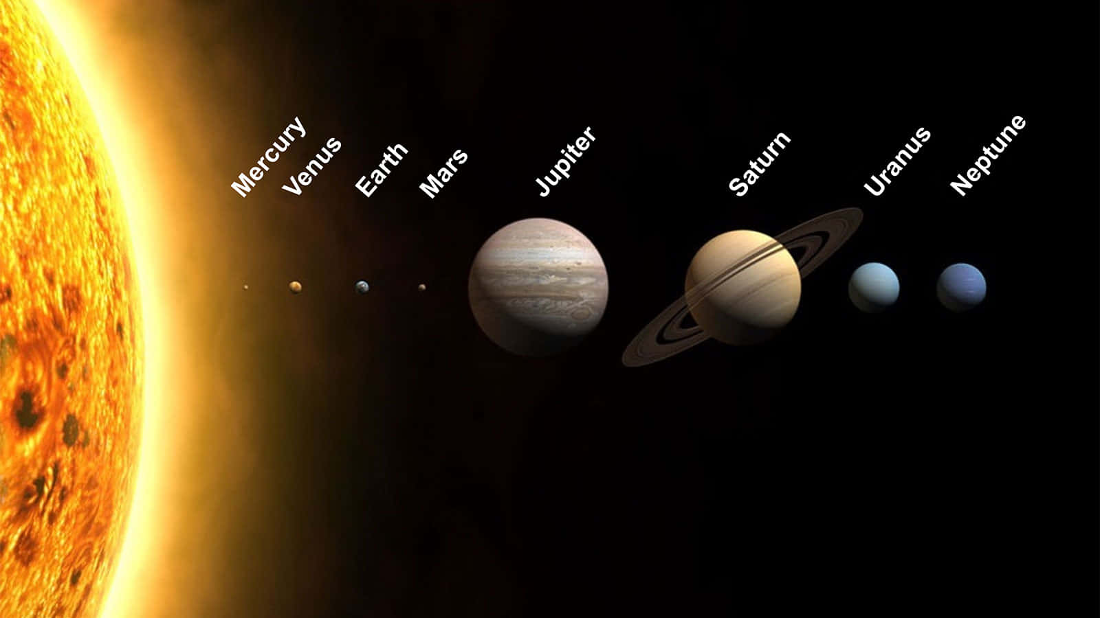 太陽系 桌布 壁紙 — 太陽系行星圍繞太陽運行，標籤顯示水星、金星、地球、火星、木星、土星、天王星和海王星。