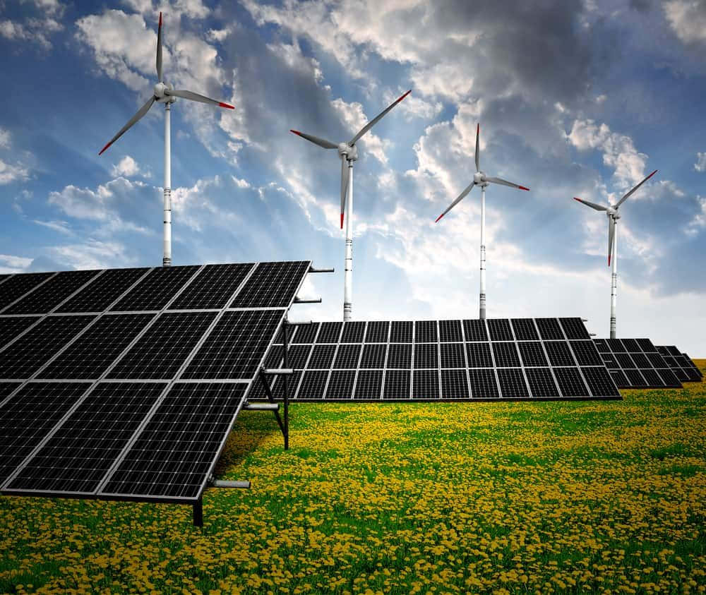 Renewable Energy 桌布 壁紙 — 太陽能板和風力渦輪機矗立在黃色花田中，天空多雲而富有戲劇性。