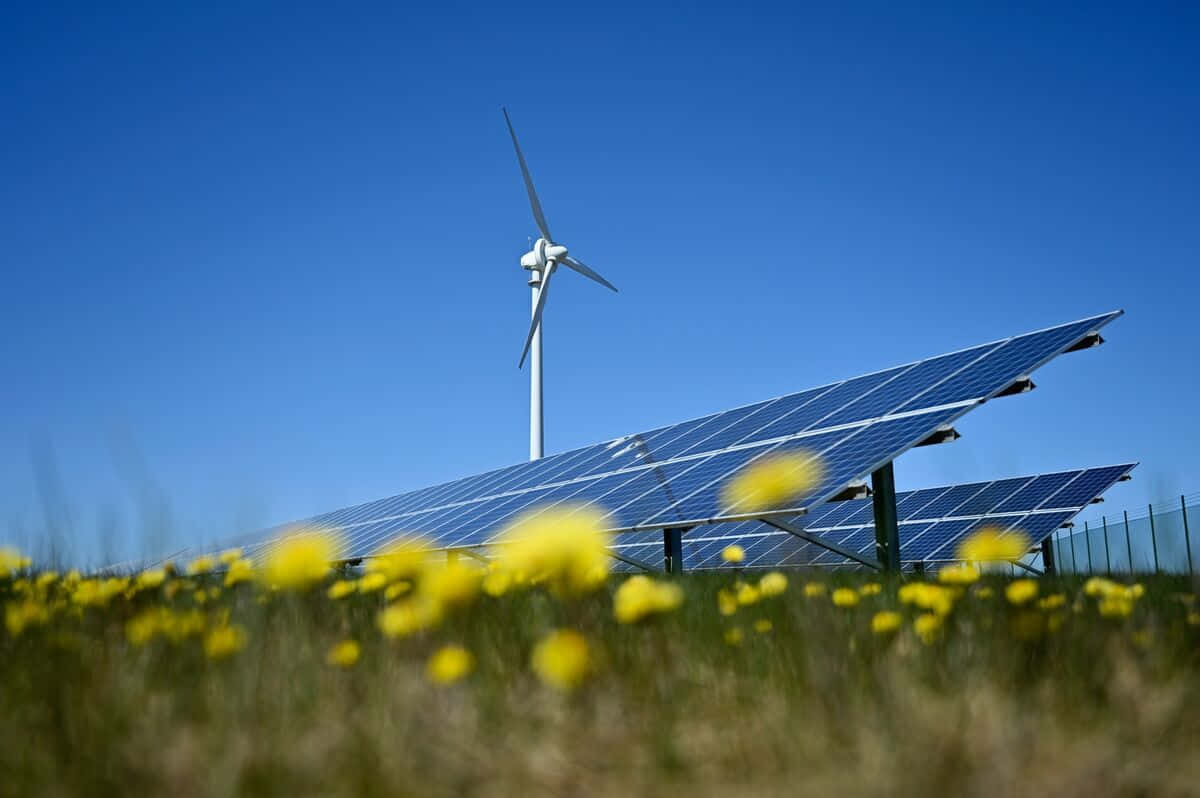 Renewable Energy 桌布 壁紙 — 太陽能板和風力發電機在晴朗藍天下矗立於黃色野花田中。