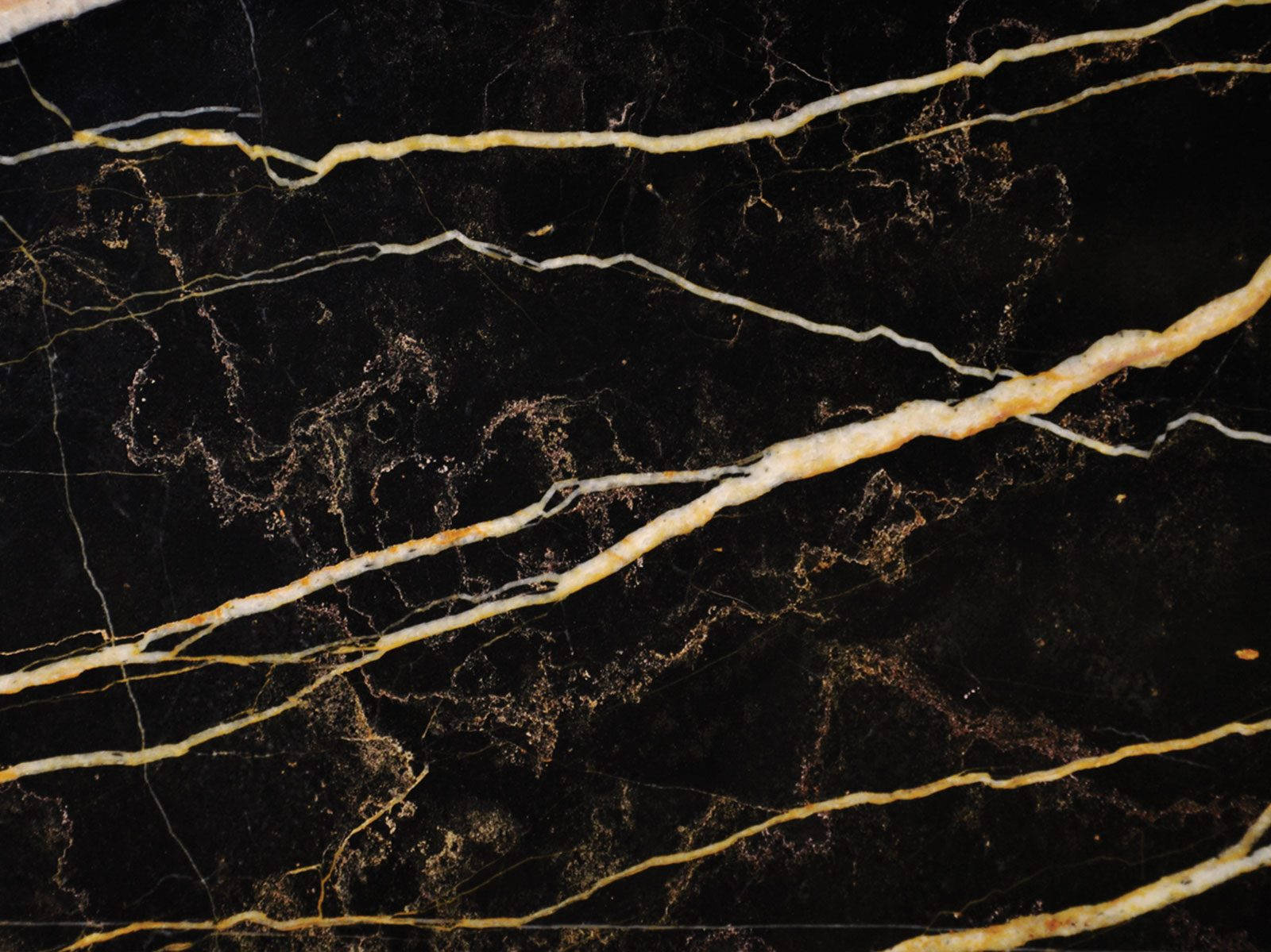Gold Marble 桌布 壁紙 — 奢華黑色大理石的近距離特寫，大膽的金色紋理在其拋光表面上流動。