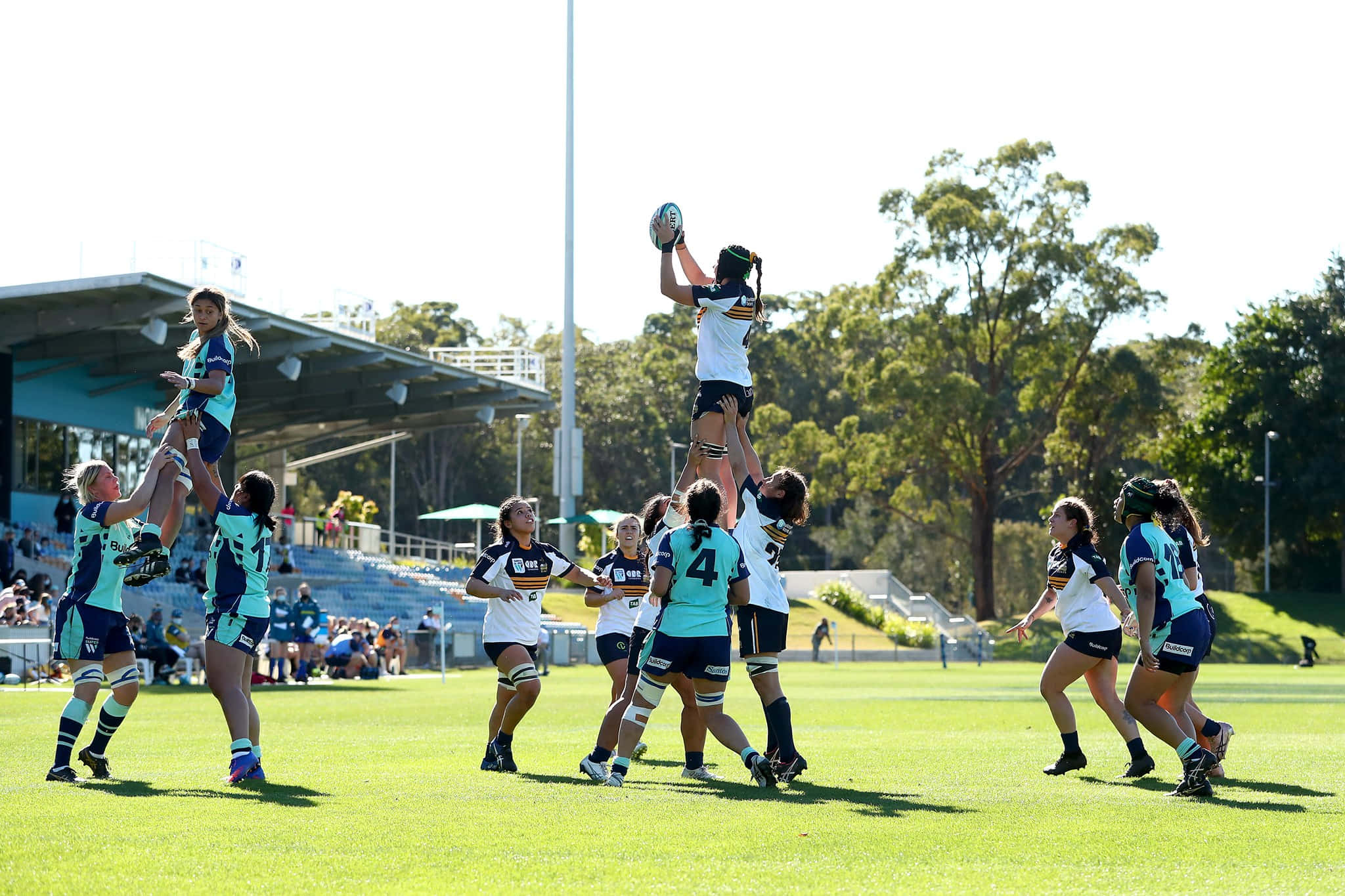 Brumbies 桌布 壁紙 — 女橄欖球員在明亮的日光下，於翠綠的草地上進行動態的界外球，跳起並舉起隊友。