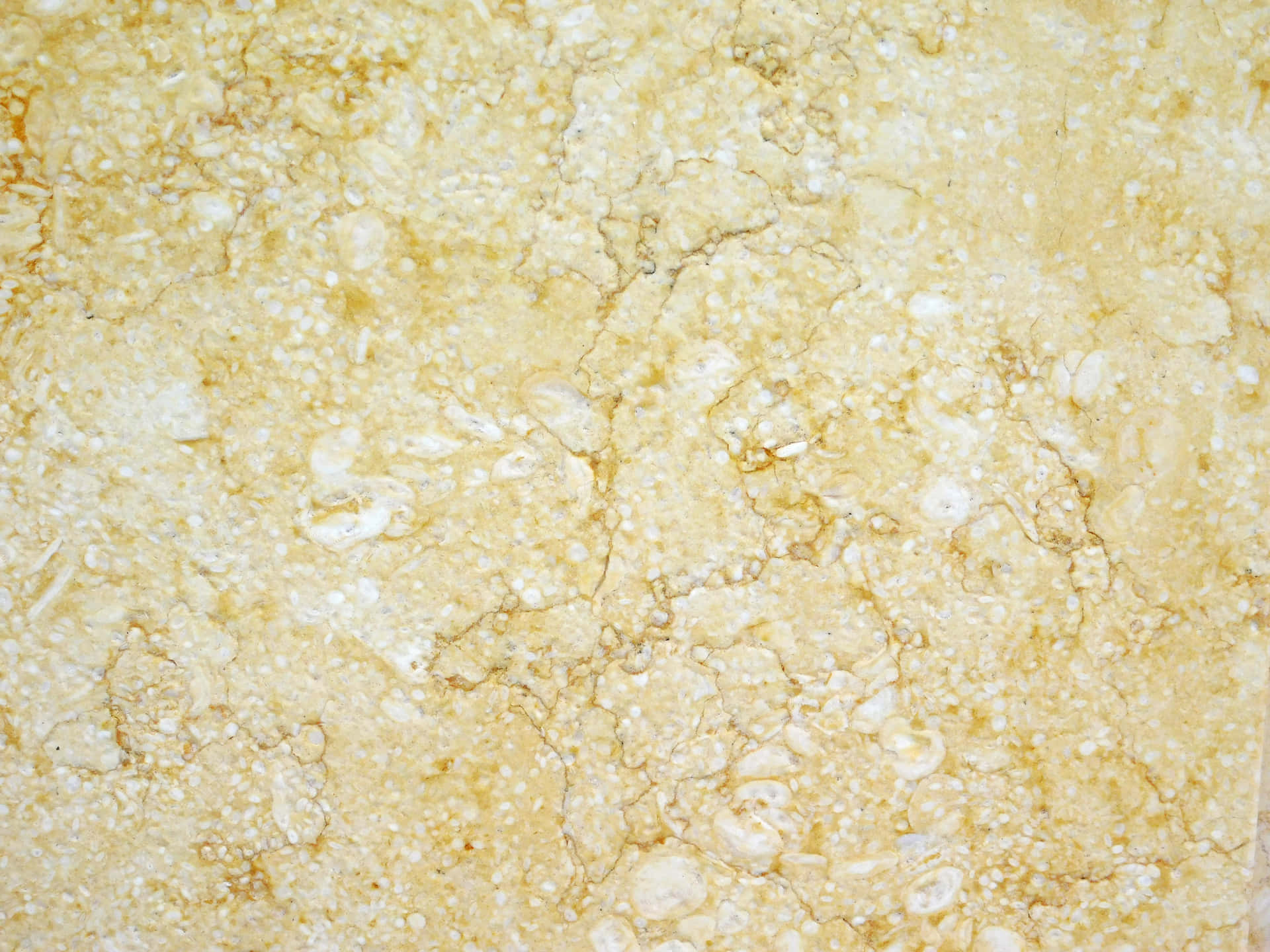 Marble Texture 壁紙 — 奶油米色大理石的近距離特寫，帶有漩渦狀白色紋理和細微金色底色。