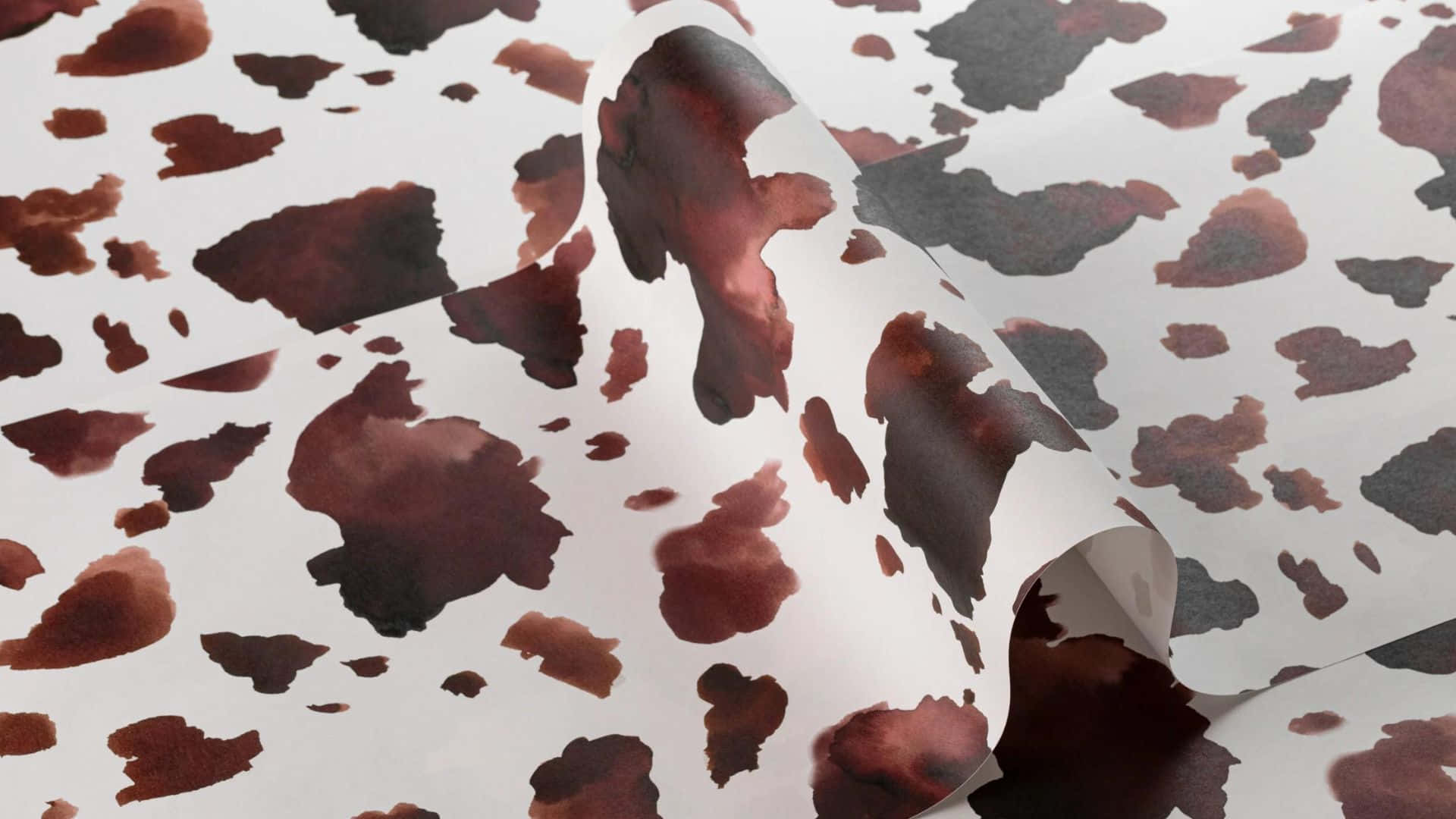 Brown Cow 桌布 壁紙 — 奶油色壁紙的特寫，帶有棕色和黑色的乳牛印花圖案，部分捲起以顯露質感。