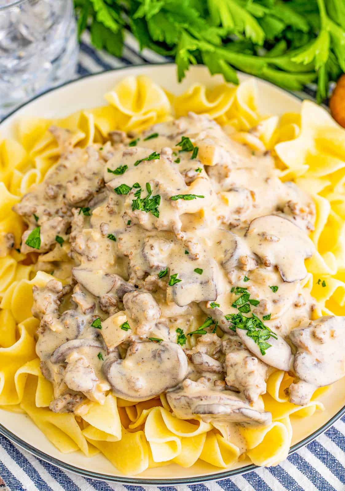 Pasta 桌布 壁紙 — 奶油蘑菇燉牛肉搭配嫩肉和切片蘑菇，放在寬蛋麵上，飾以新鮮歐芹。