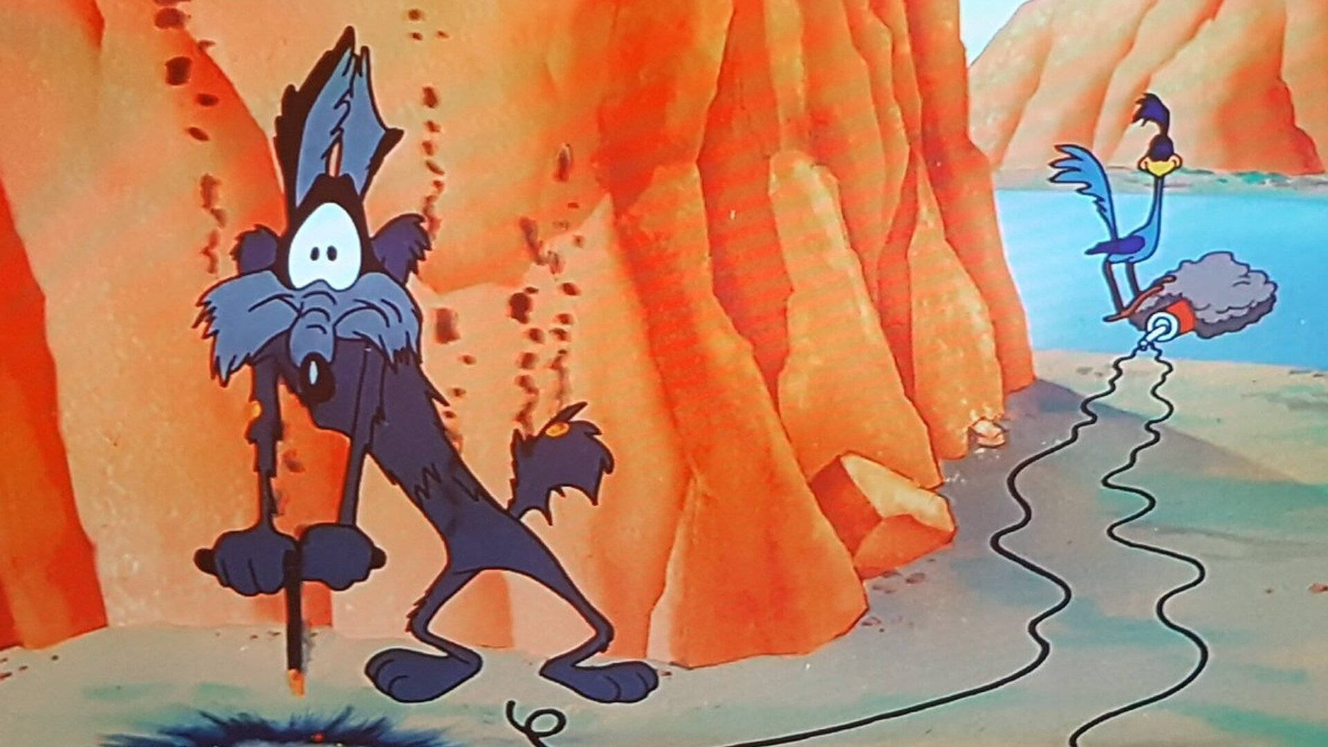 Coyote 桌布 壁紙 — 威利狼在沙漠峽谷中呆立，而嗶嗶鳥則留下一道煙霧痕跡疾馳而去。