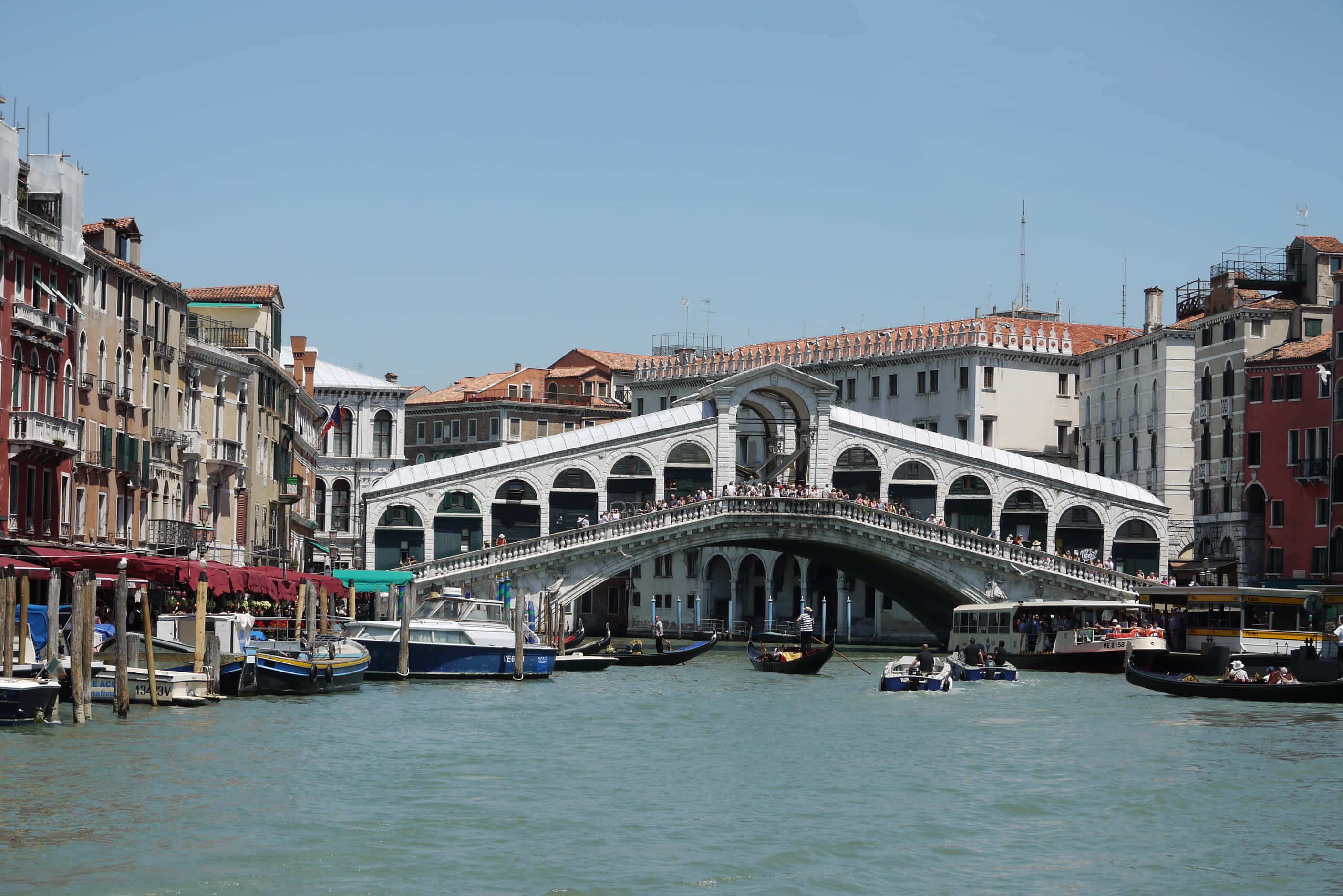 venice 桌布 壁紙 — 威尼斯標誌性的里亞爾托橋在晴朗的藍天下優雅地拱跨在一條繁忙的運河上，兩旁是歷史建築和貢多拉。