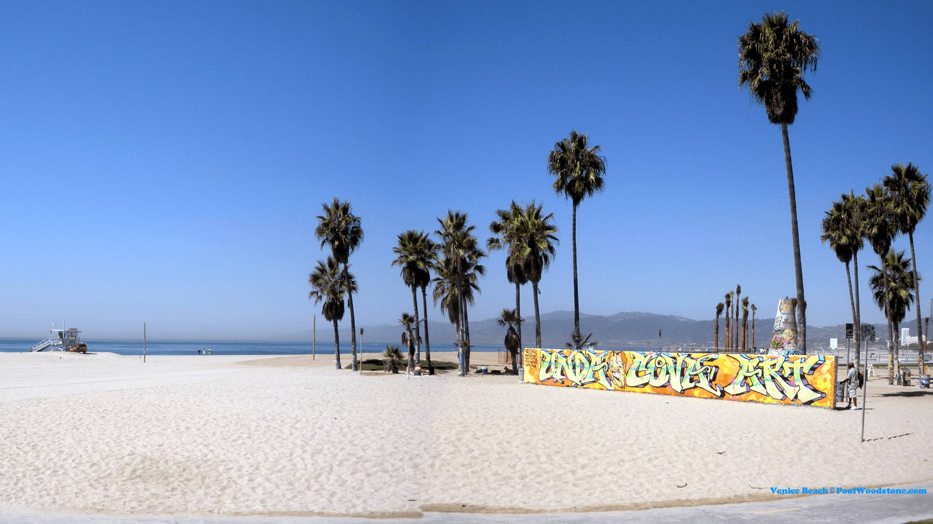 Venice Beach 桌布 壁紙 — 威尼斯海灘晴朗的一天，沙灘上有棕櫚樹和充滿活力的塗鴉藝術。