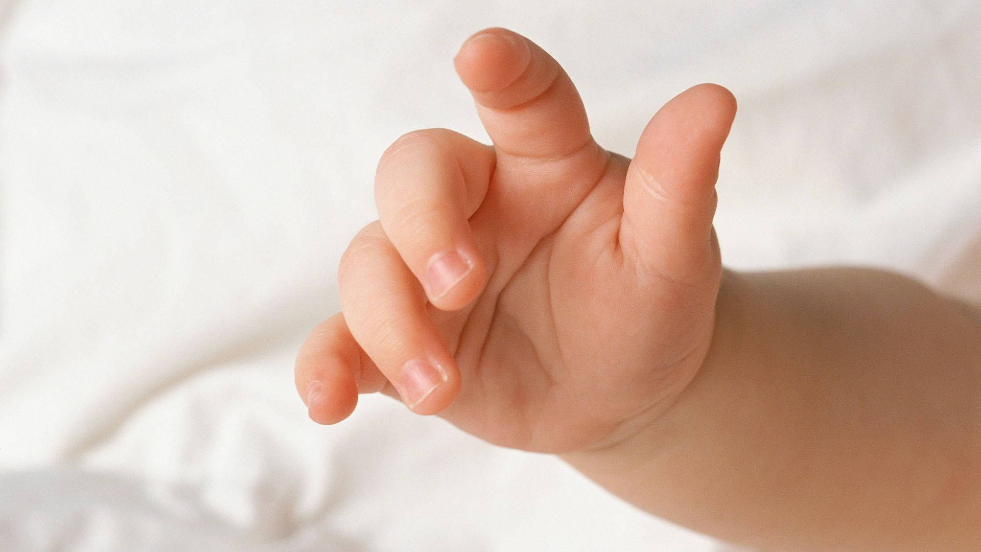 fingers 桌布 壁紙 — 嬰兒小手特寫，手指微微彎曲，伸向柔軟的白色布料背景。