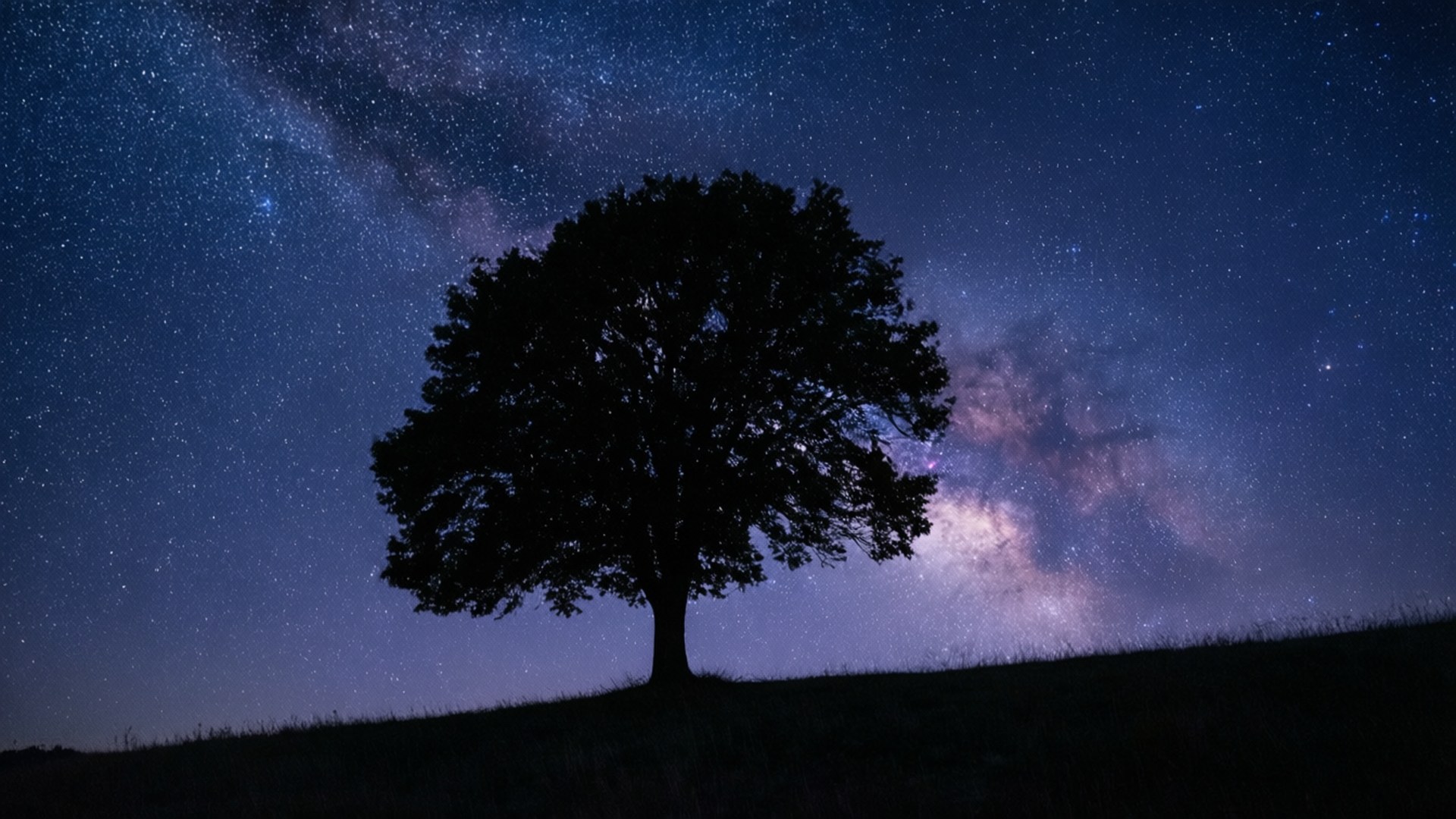 孤樹星空 壁紙
