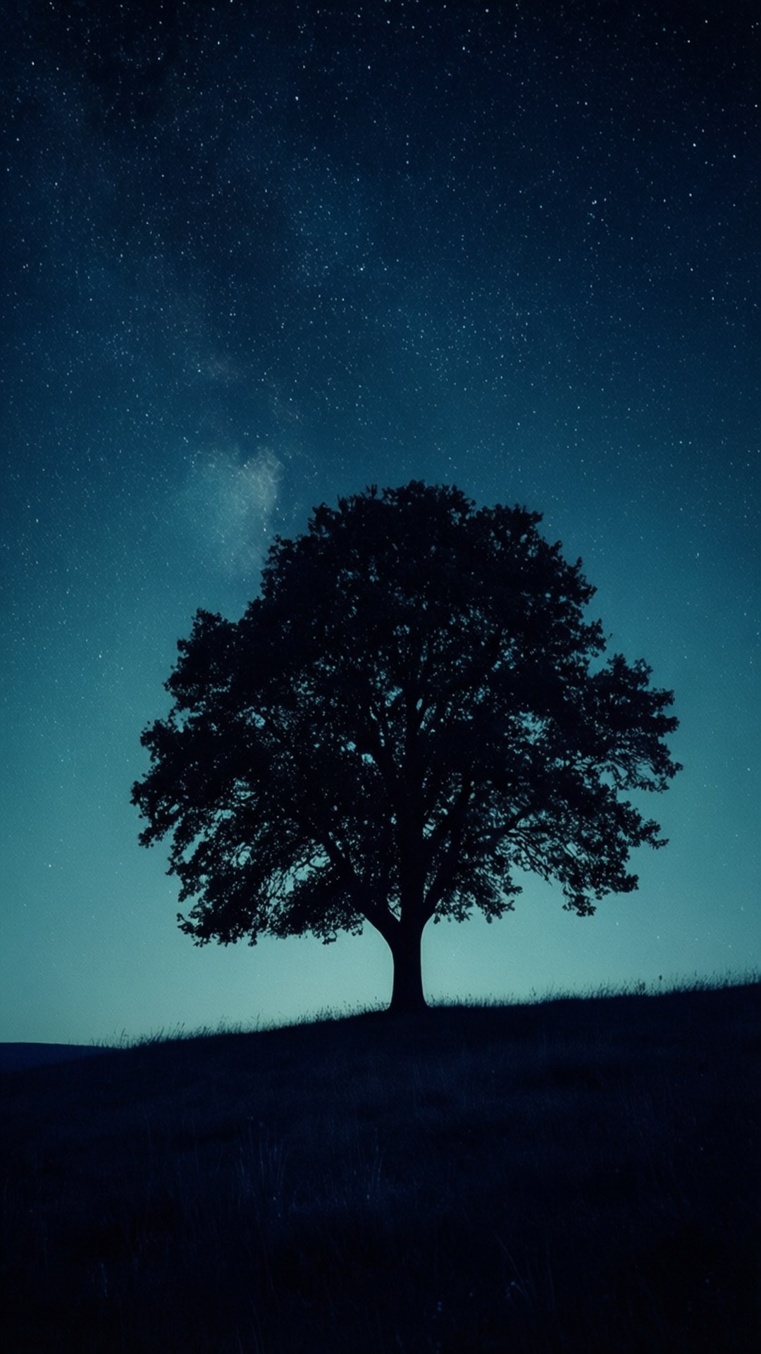 孤樹星空下 壁紙 — 一棵孤獨的樹的剪影矗立在長滿草的山丘上，下方是繁星點點的夜空，可見銀河。