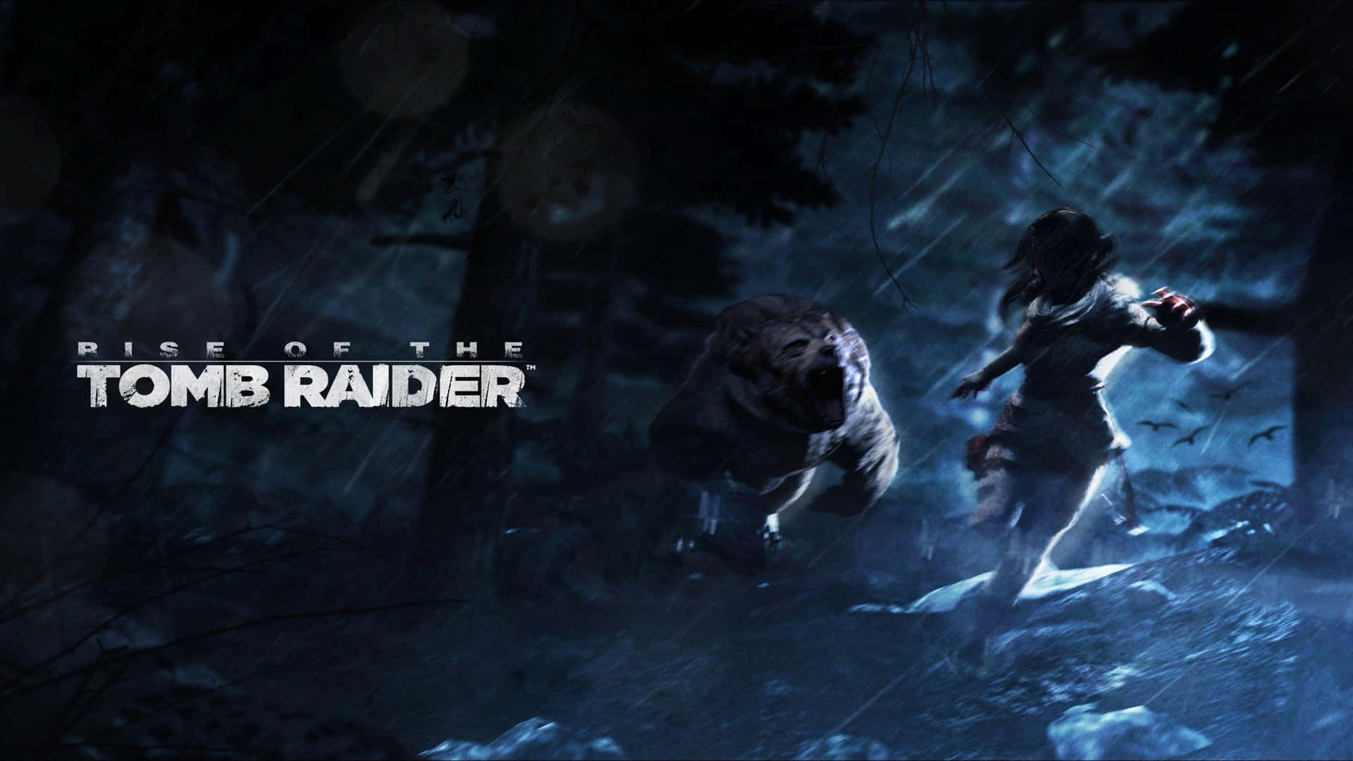 1080p Shadow Of The Tomb Raider 桌布 壁紙 — 孤獨的冒險者在月光下的暴風雨森林中與巨熊搏鬥，遊戲標題文字可見。