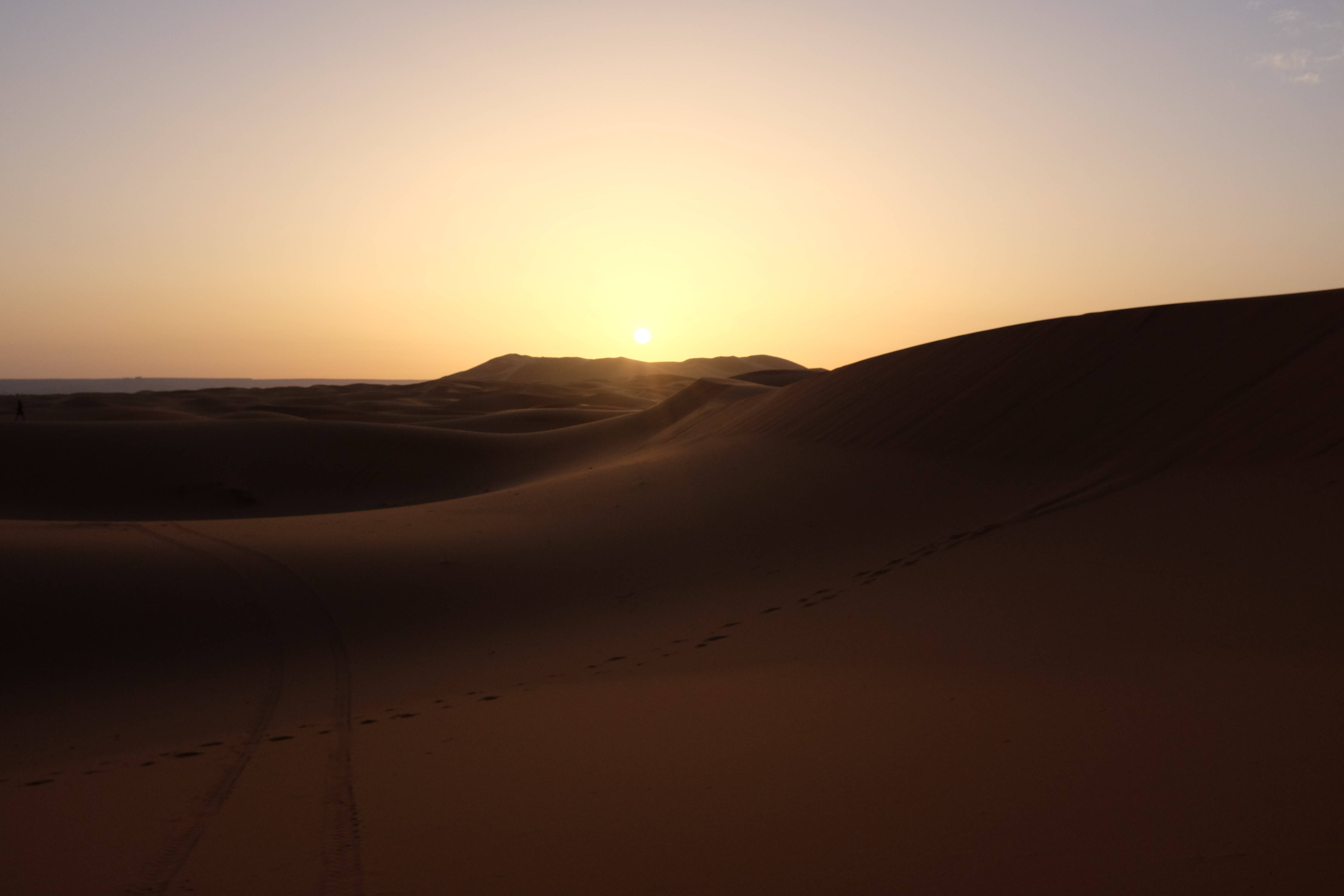 Sahara 桌布 壁紙 — 孤獨的太陽在無盡的金色沙丘上落下，在沙漠地面上投下長長的陰影和腳印。