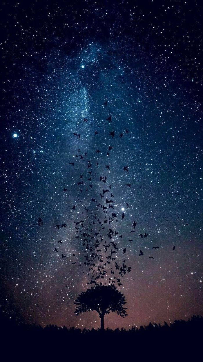 酷炫星系 桌布 壁紙 — 孤獨的樹木剪影，在繁星夜空下，鳥兒飛向銀河。