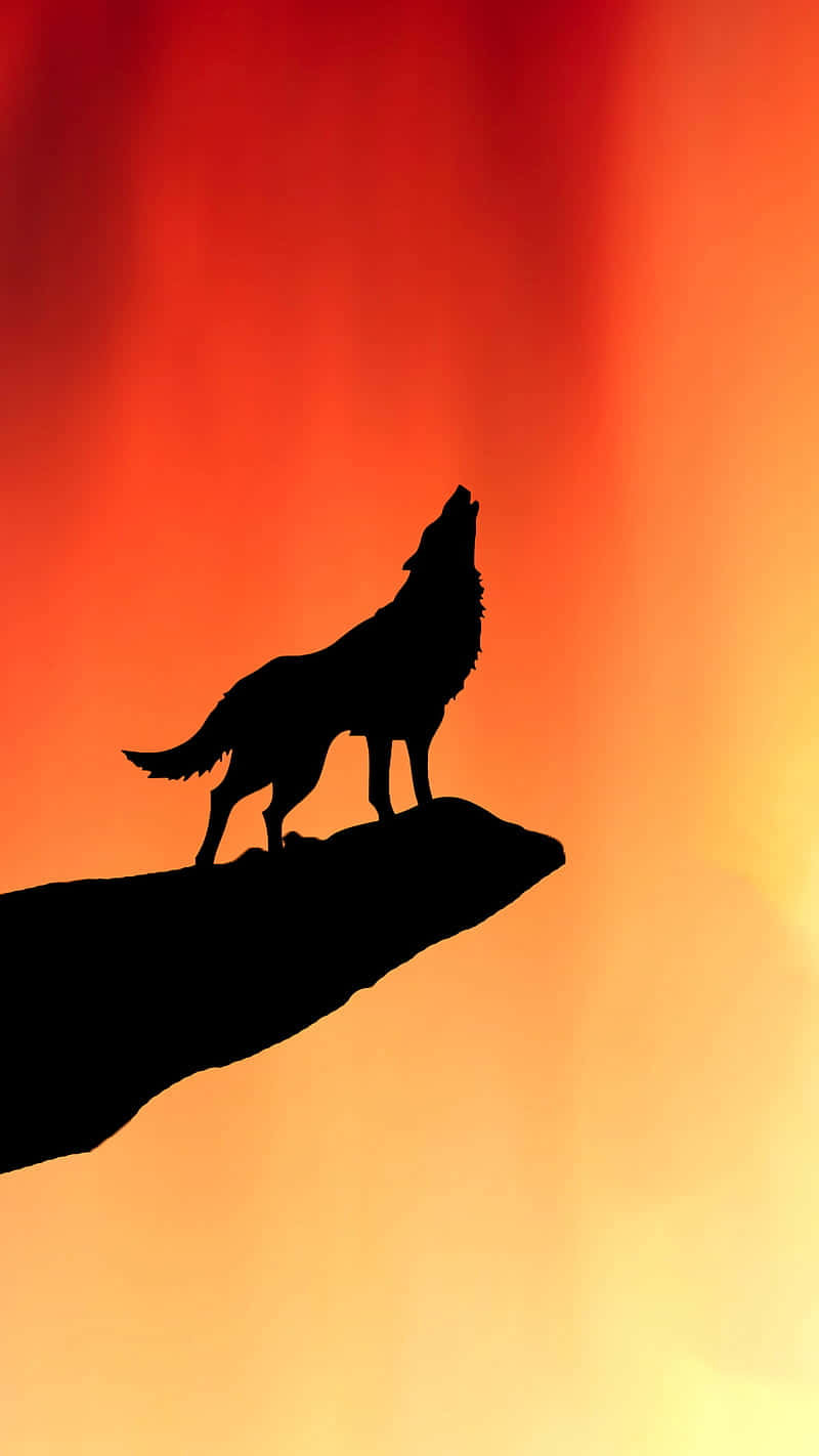 Wolf Silhouette 桌布 壁紙 — 孤獨的狼剪影在懸崖頂上嚎叫，背景是火紅橙色的日落天空。