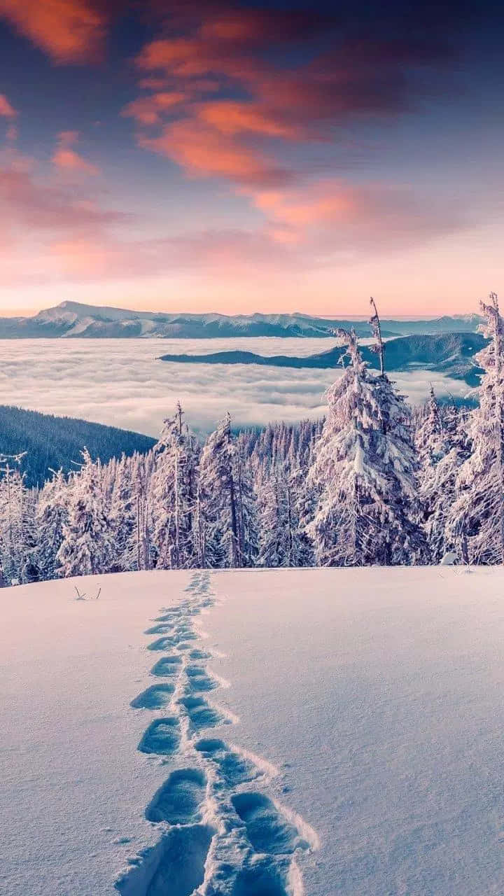Beautiful Winter 桌布 壁紙 — 孤獨的腳印蜿蜒穿過積雪的松樹，而充滿活力的日落則在雲海之上描繪天空。