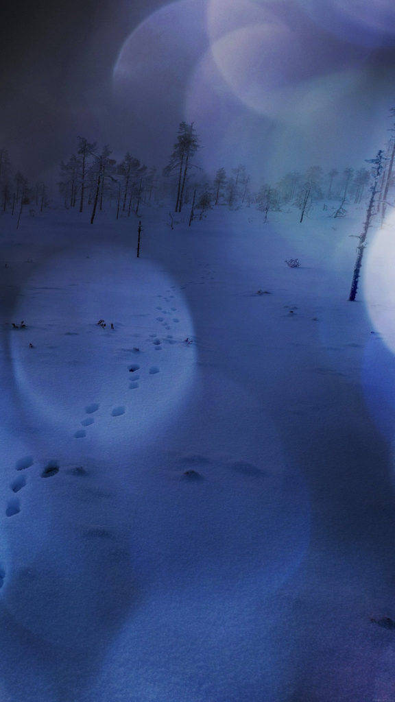 Nature iPhone 桌布 壁紙 — 孤獨的腳印蜿蜒穿過雪地森林，在暮色天空下帶有鏡頭光暈。