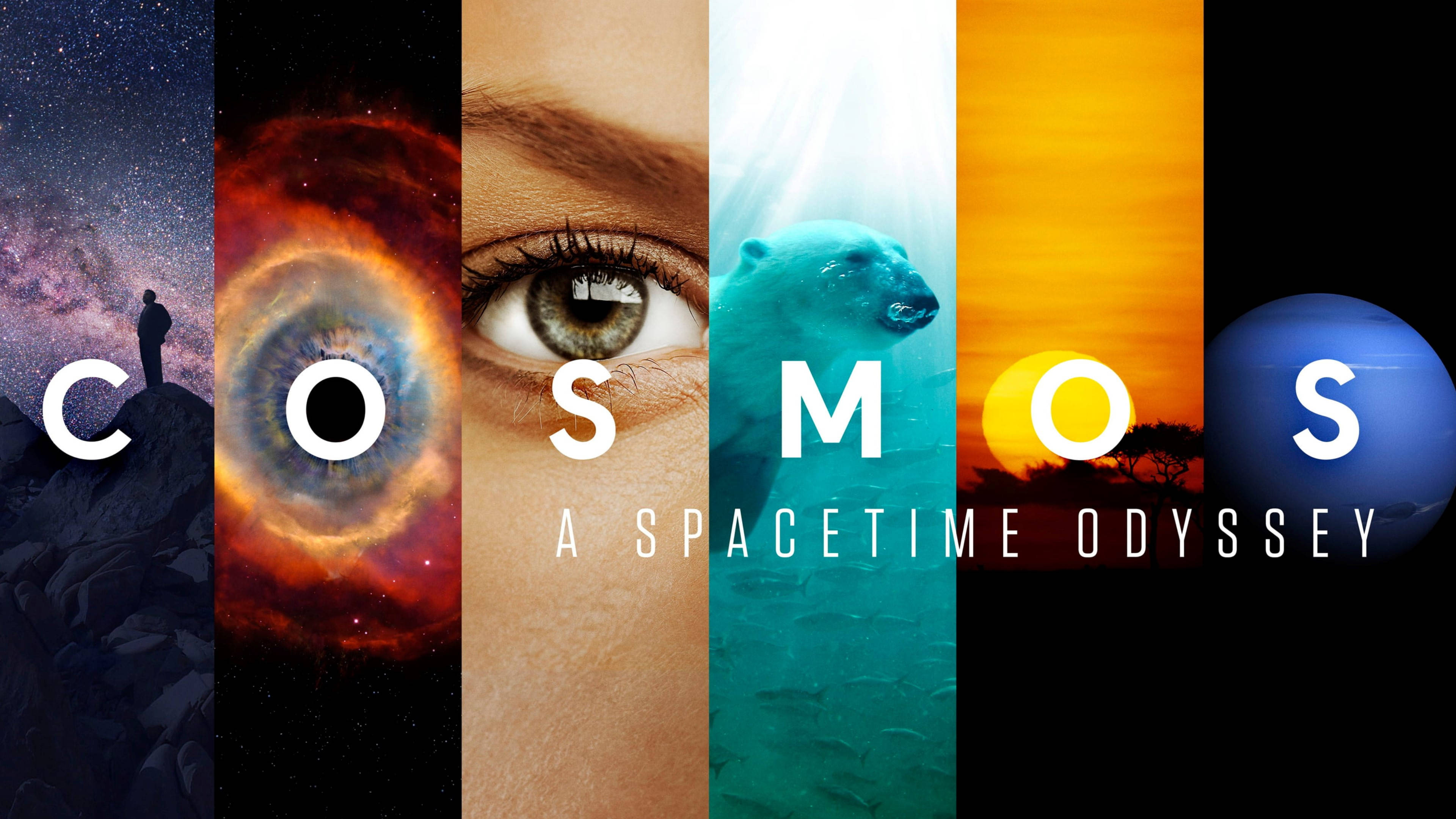 Cosmos 桌布 壁紙 — 宇宙主題序列，六個垂直面板展示懸崖上的人、星雲、眼睛、水中的北極熊、日落和一顆行星。