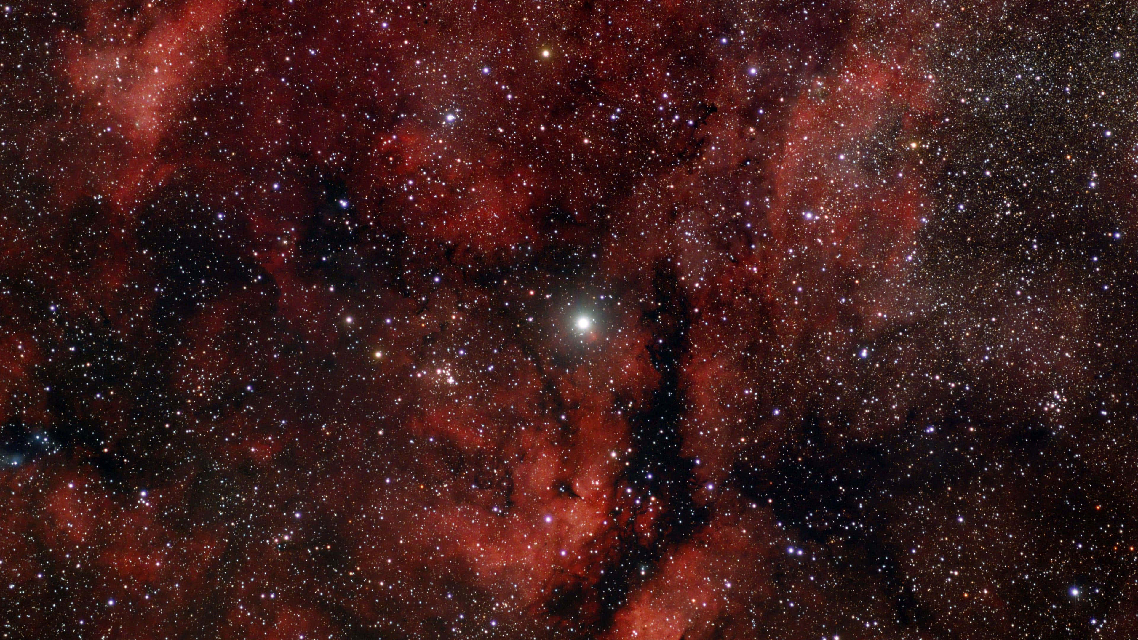 紅色動圖 桌布 壁紙 — 宇宙星雲在深紅和黑色中旋轉，點綴著無數閃爍的星星，襯托著虛空。