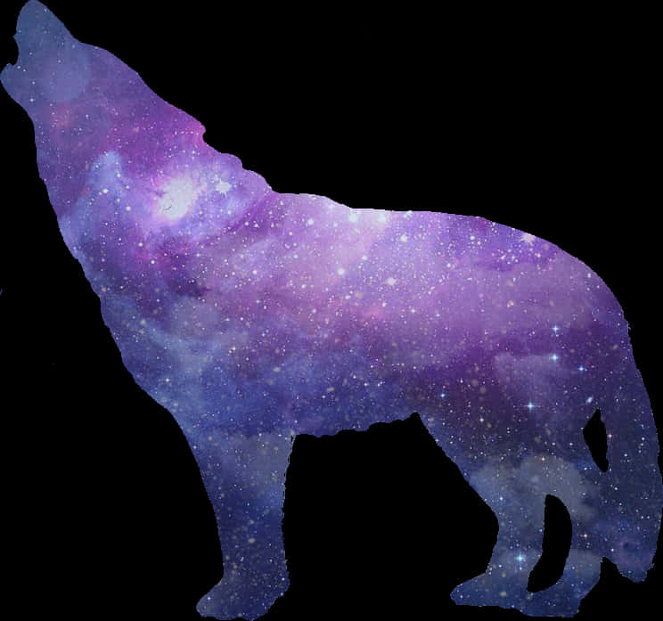 宇宙狼剪影 壁紙